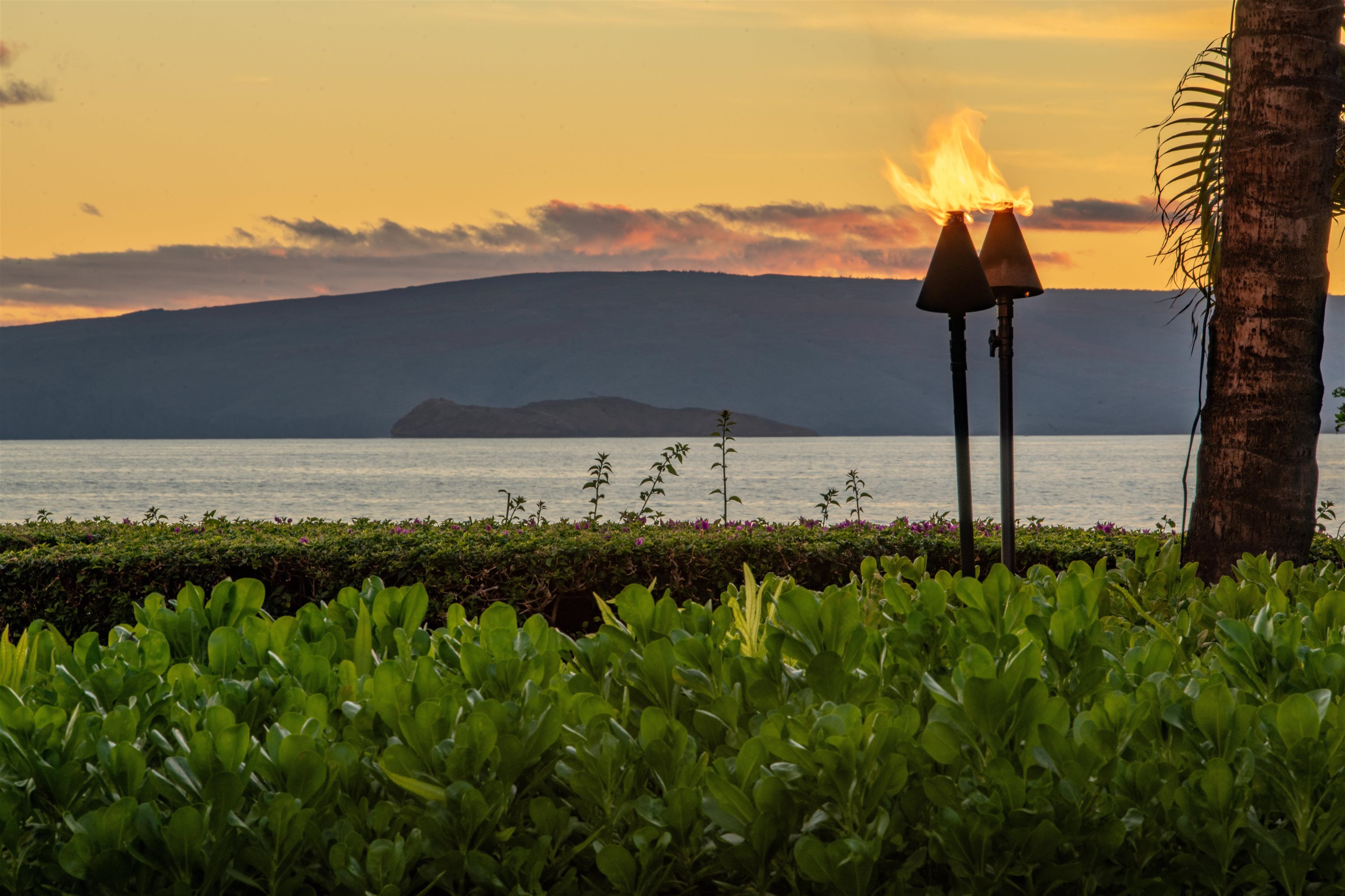 3800 Wailea Alanui Dr Property Photo 43
