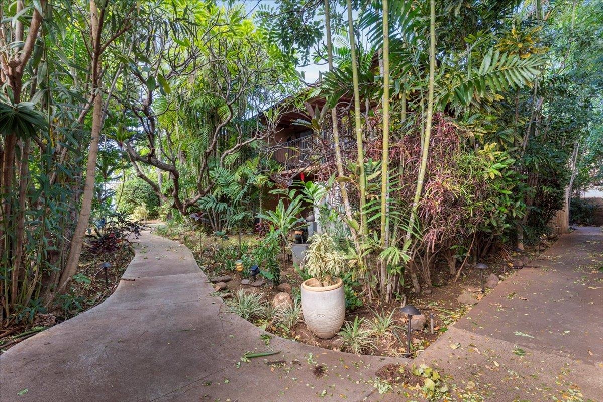 3559 Lower Honoapiilani Rd Property Photo 5