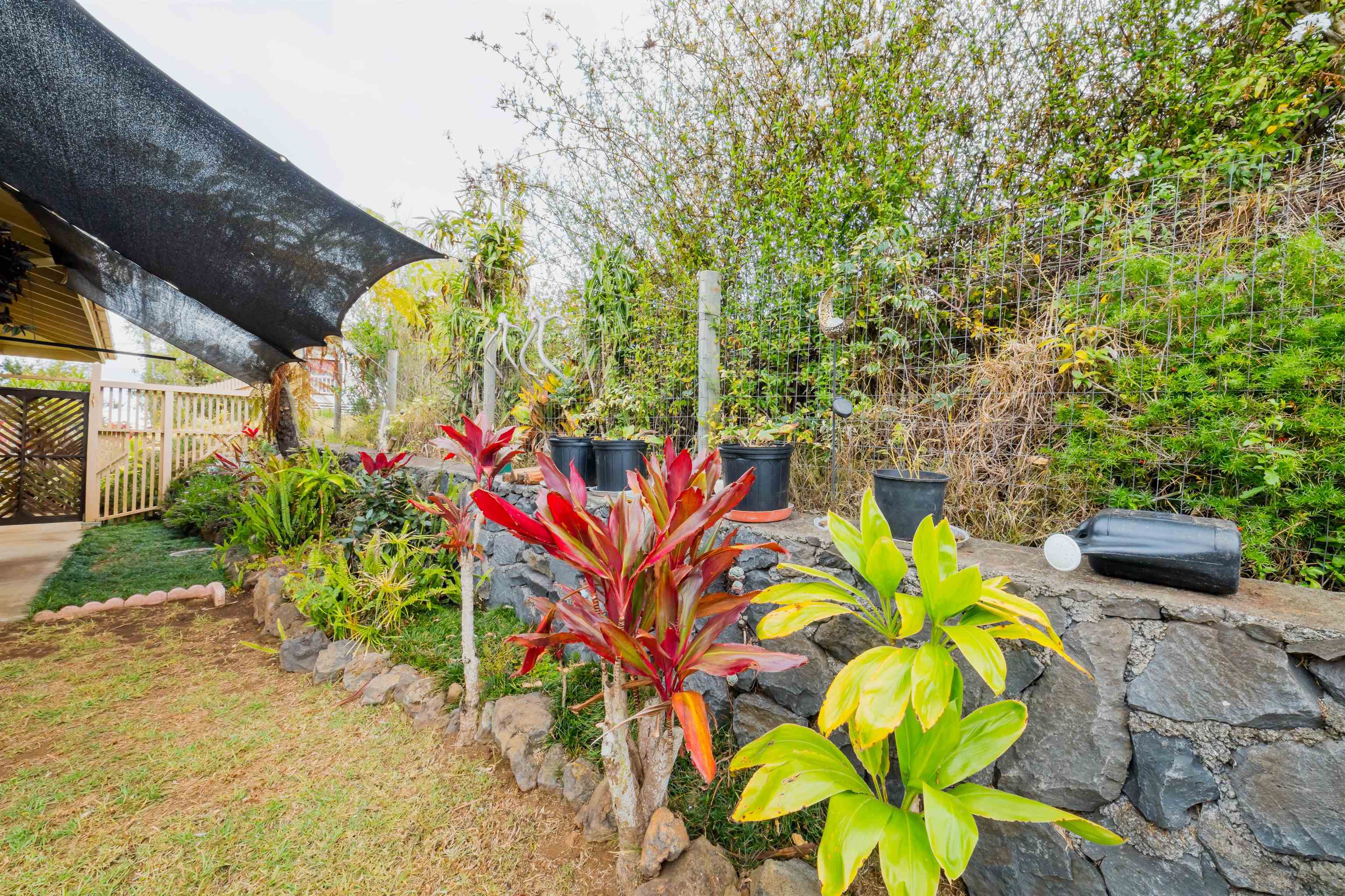 499 Kolohala Dr Property Photo 13