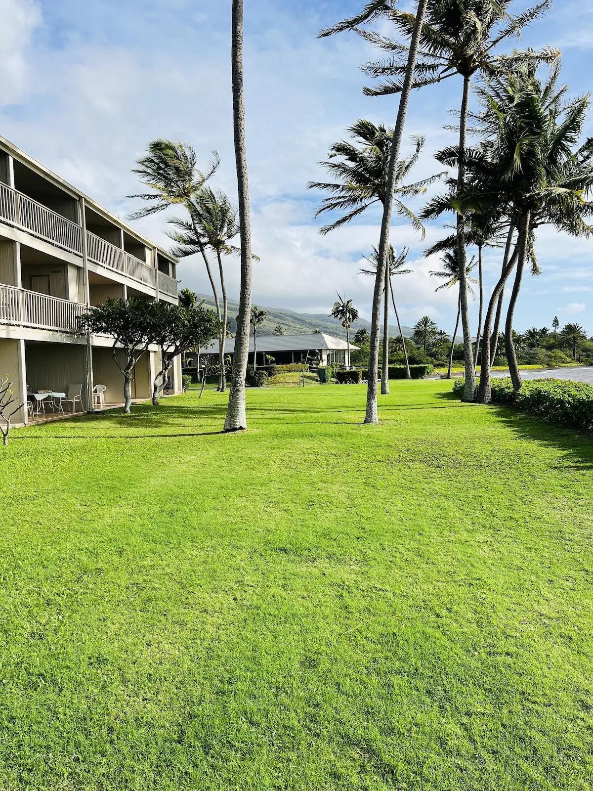 7146 Kamehameha V Hwy Property Photo 19