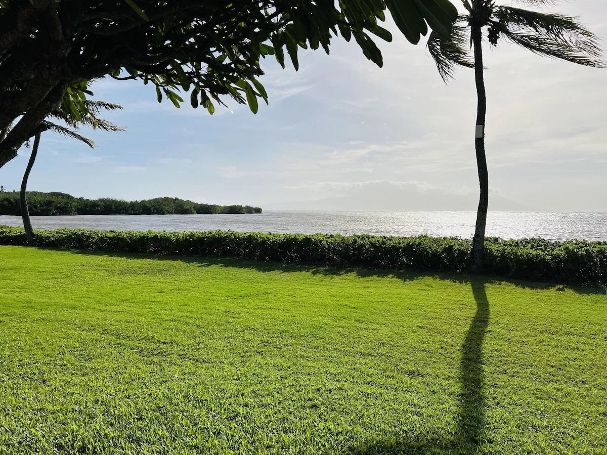 7146 Kamehameha V Hwy Property Photo 20