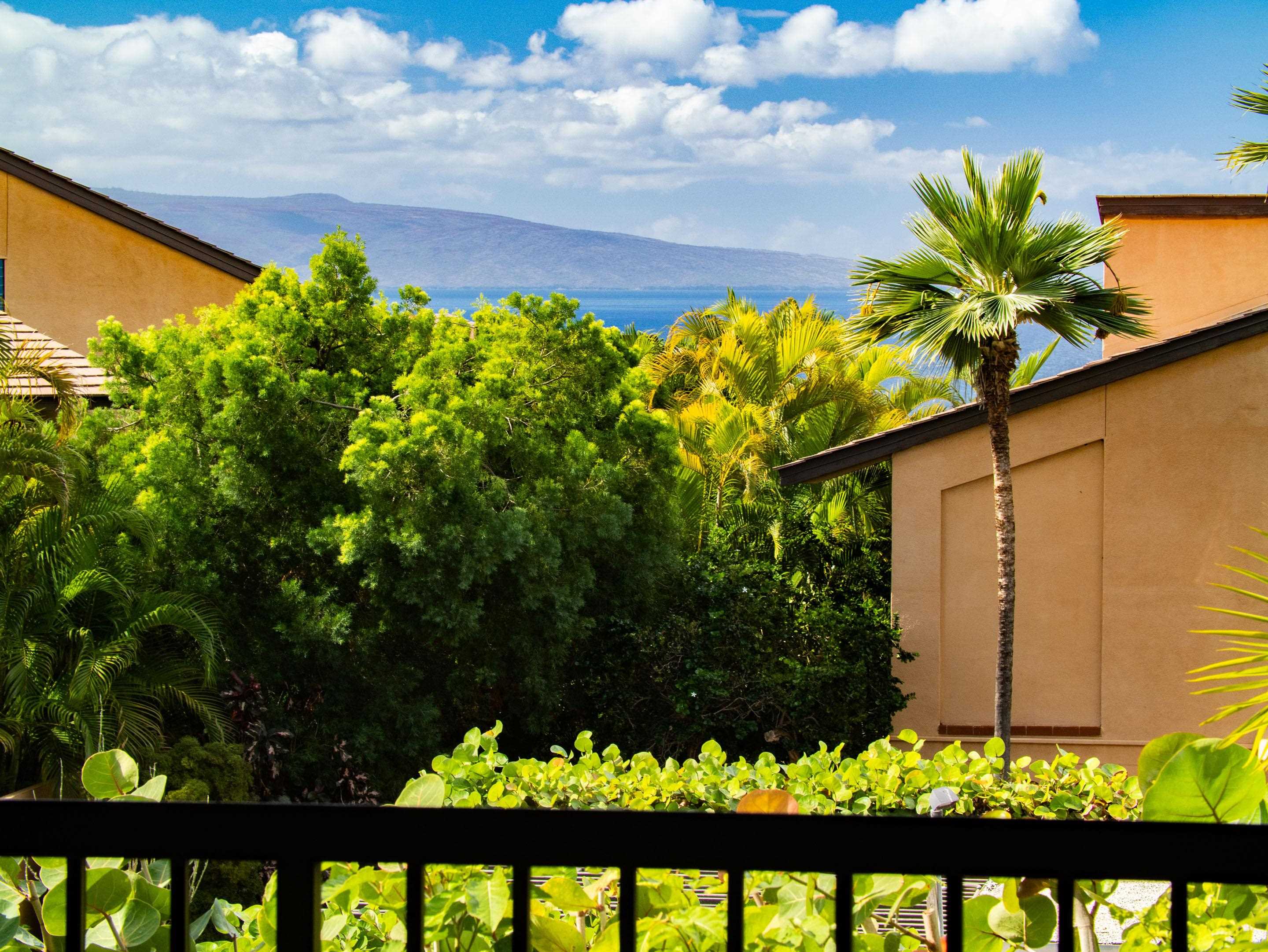 3300 Wailea Alanui Dr Property Photo 2
