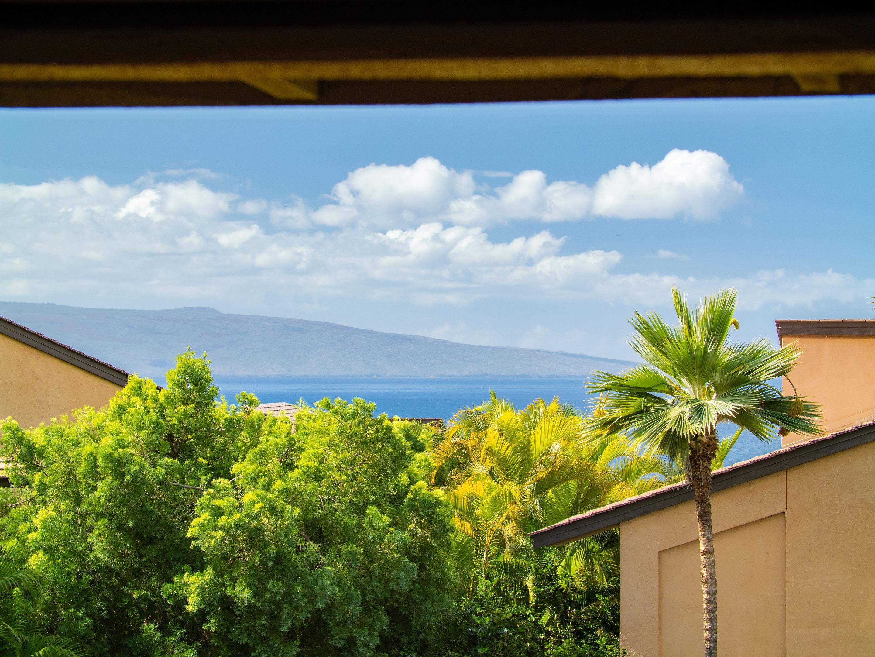 3300 Wailea Alanui Dr Property Photo 21