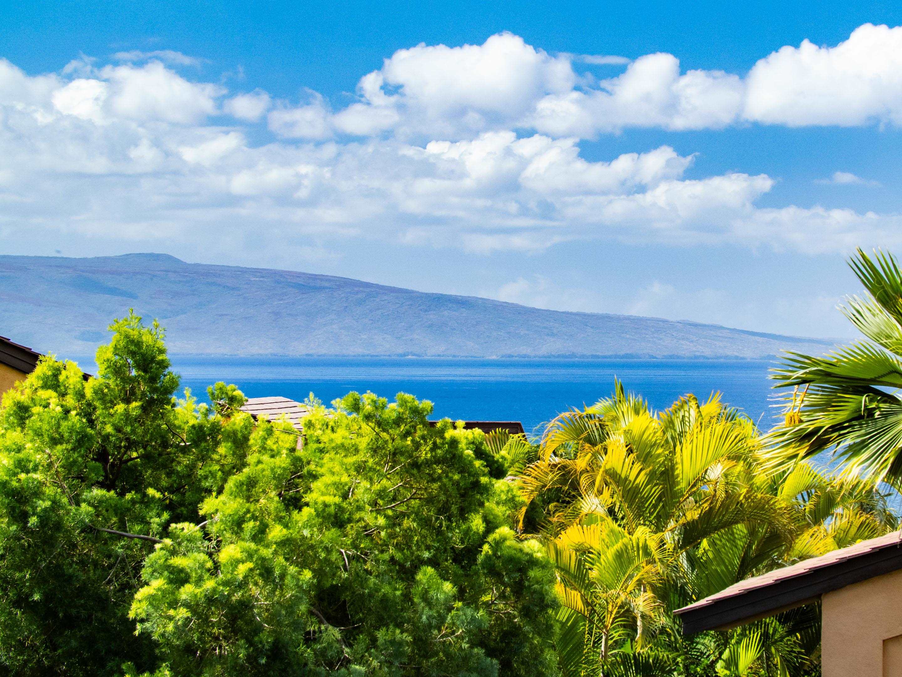 3300 Wailea Alanui Dr Property Photo 23