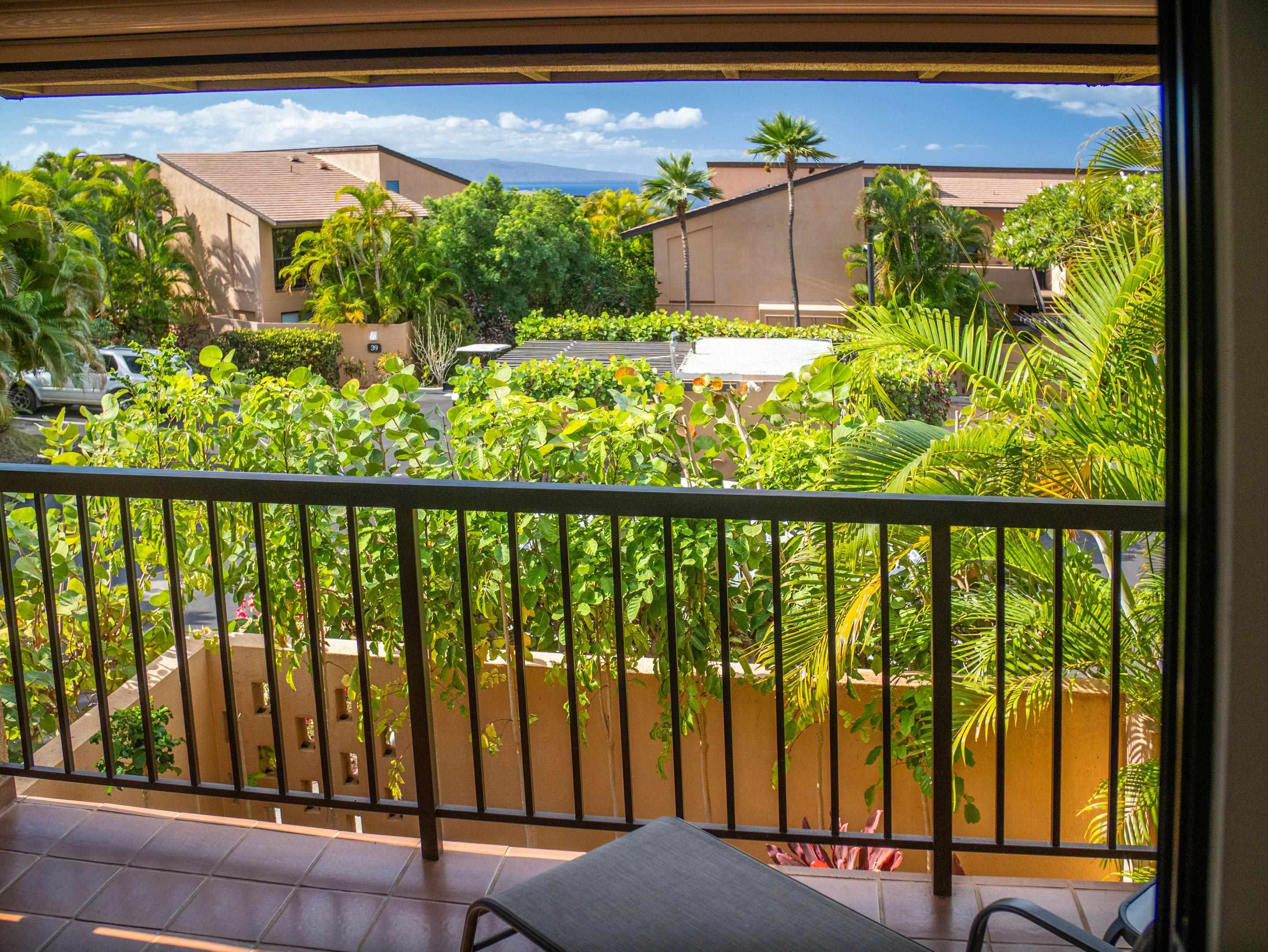3300 Wailea Alanui Dr Property Photo 25