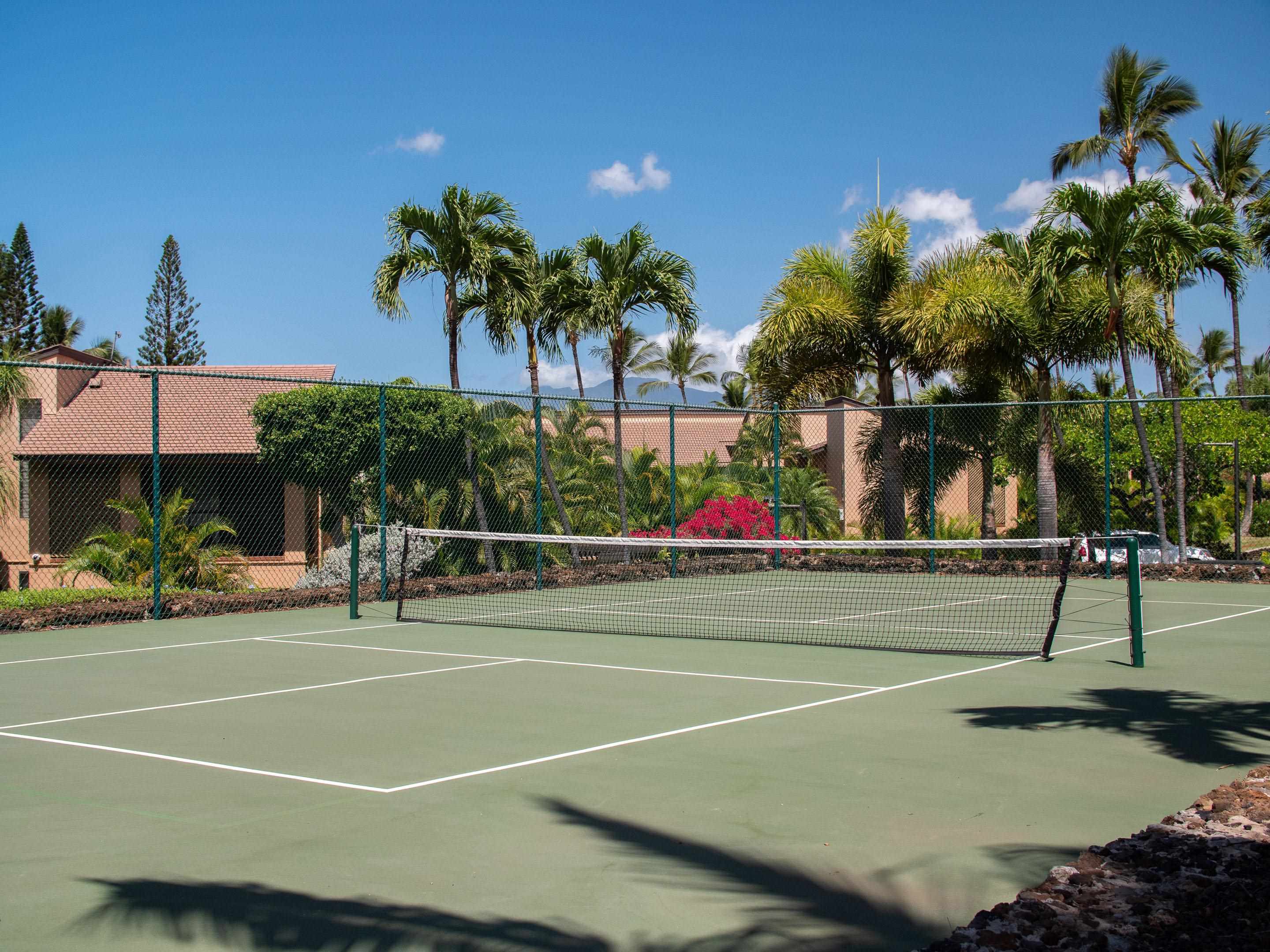 3300 Wailea Alanui Dr Property Photo 42