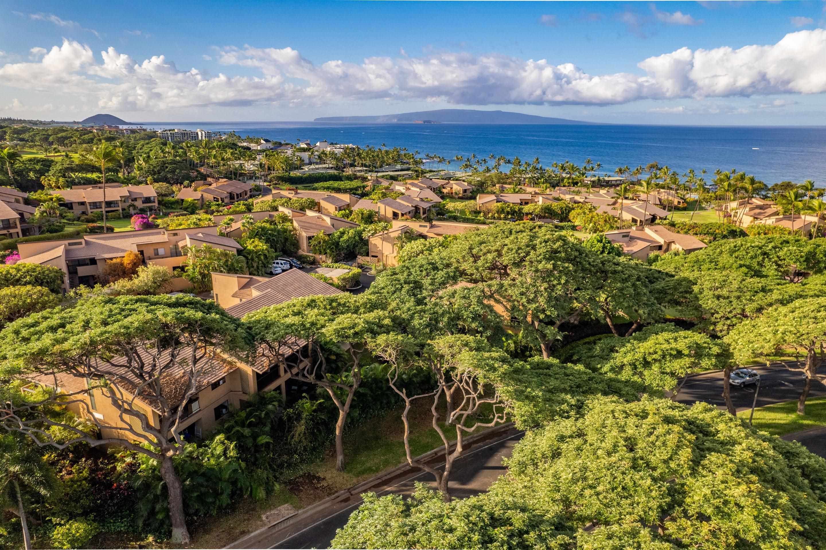3300 Wailea Alanui Dr Property Photo 48
