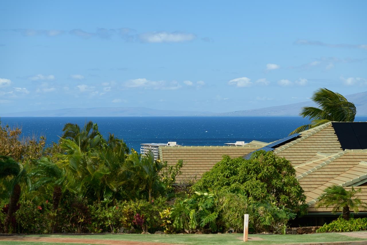 1015 Anapuni Pl Property Photo 7