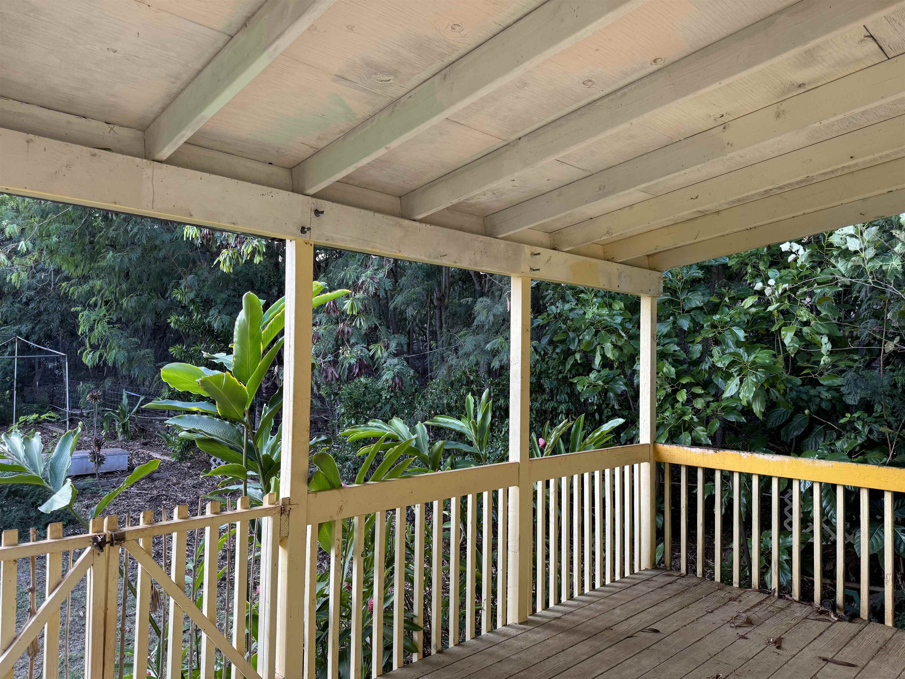 8557 Kamehameha V Hwy Property Photo 2