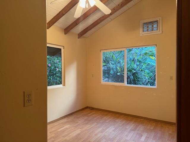8557 Kamehameha V Hwy Property Photo 11