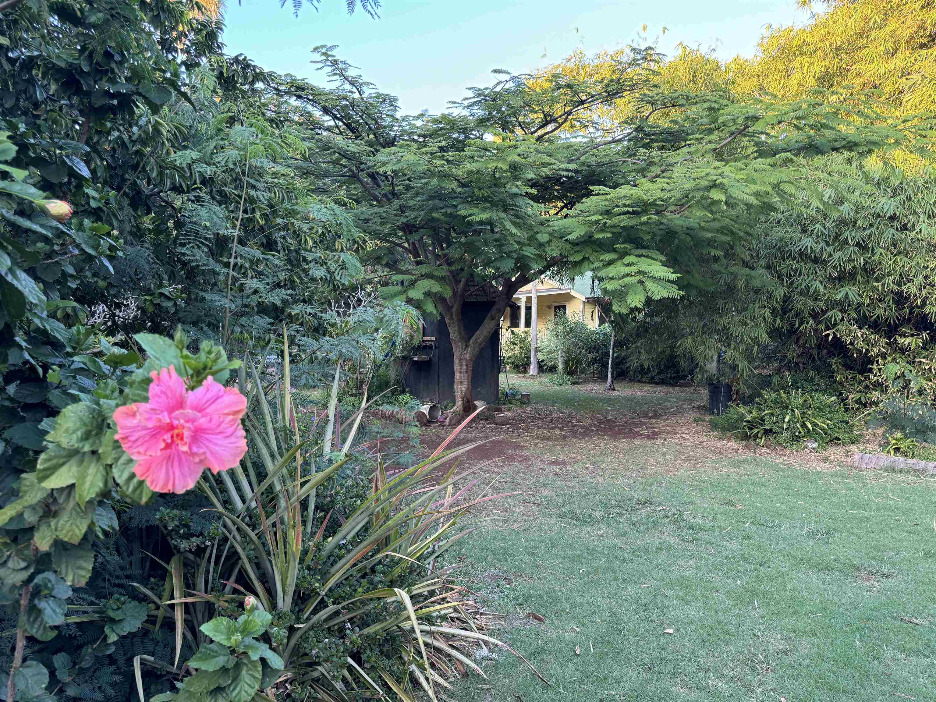 8557 Kamehameha V Hwy Property Photo 18