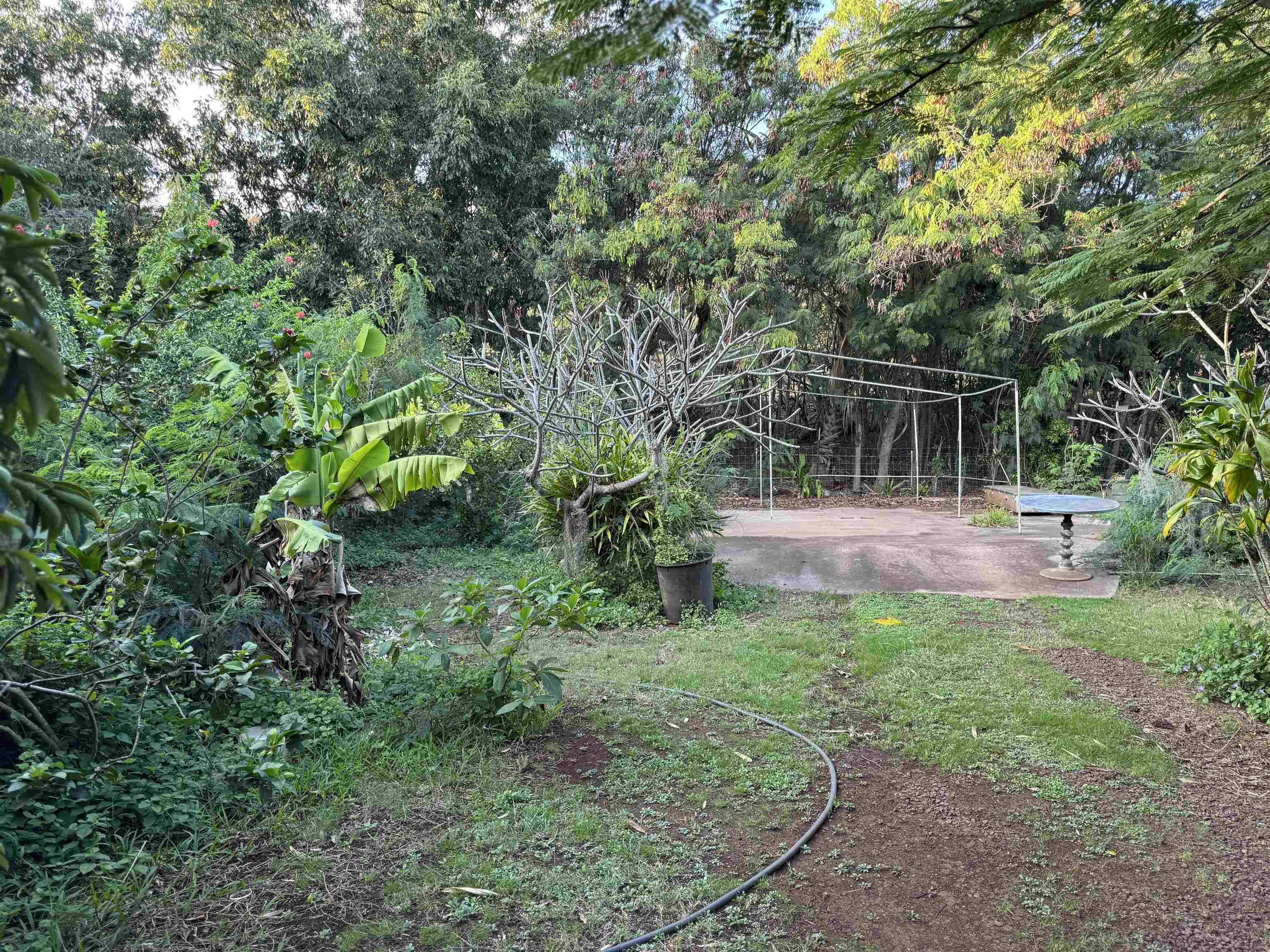 8557 Kamehameha V Hwy Property Photo 19