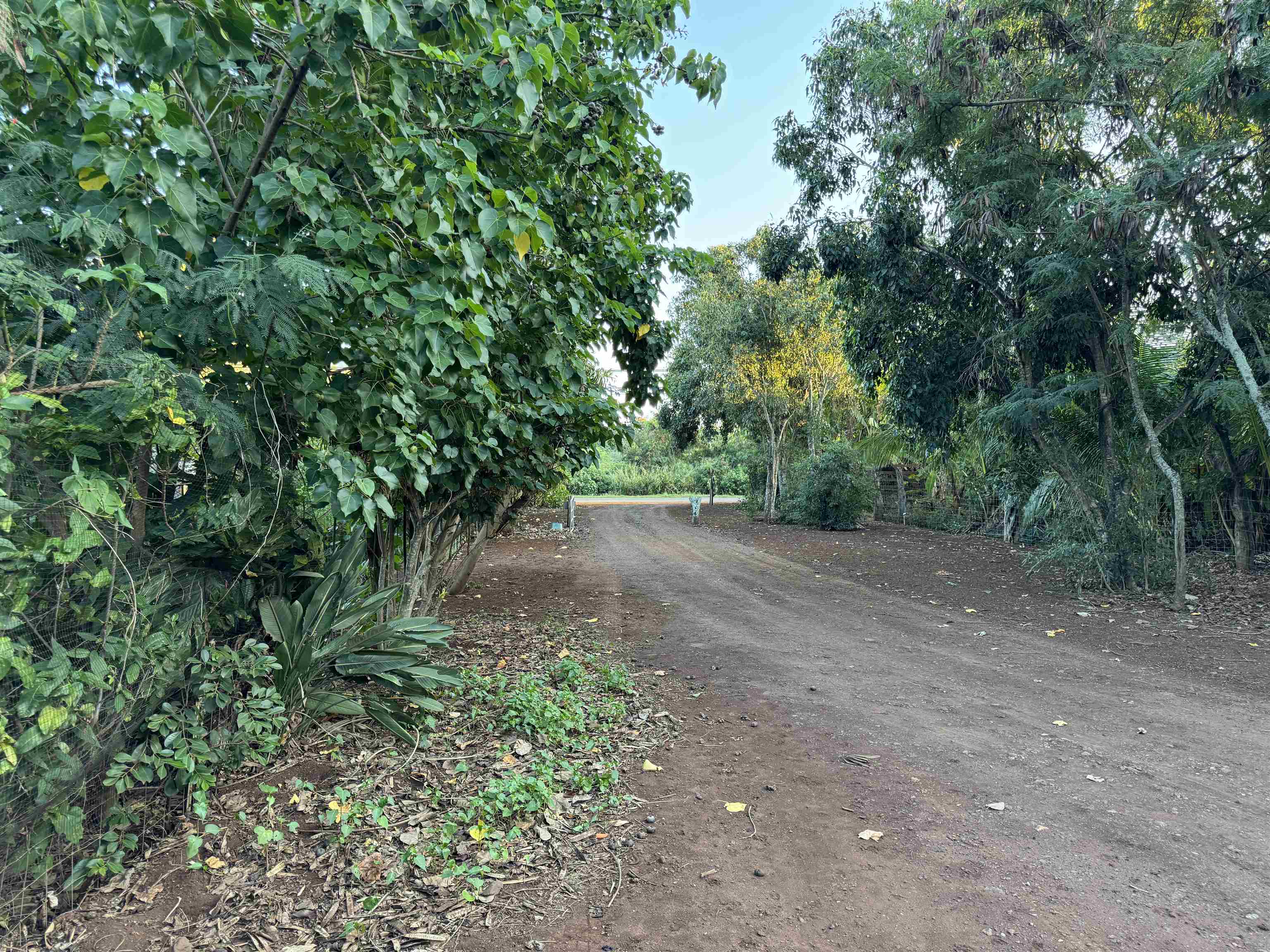 8557 Kamehameha V Hwy Property Photo 21