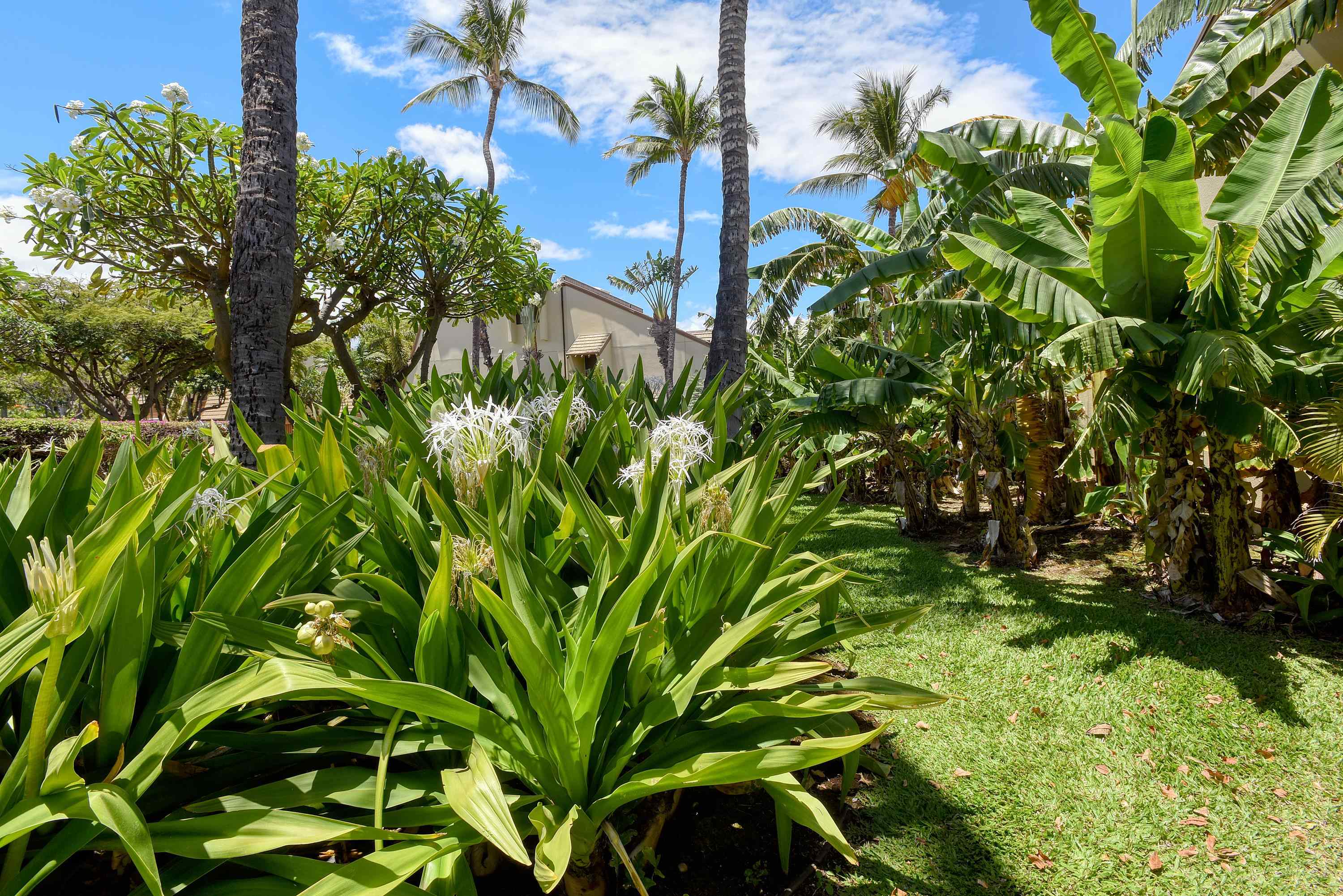 2777 S Kihei Rd Property Photo 9