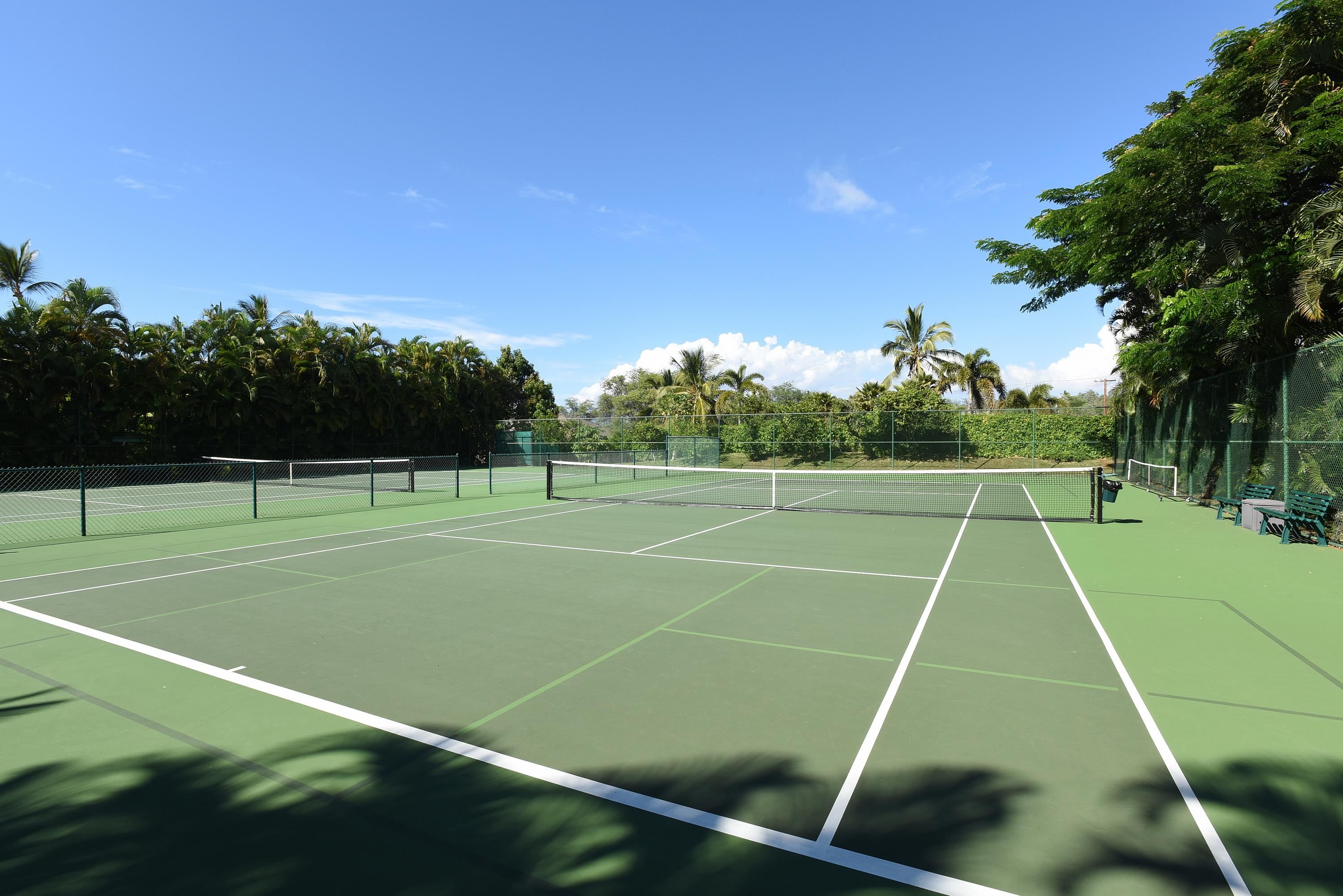 4850 Makena Alanui Rd Property Photo 23