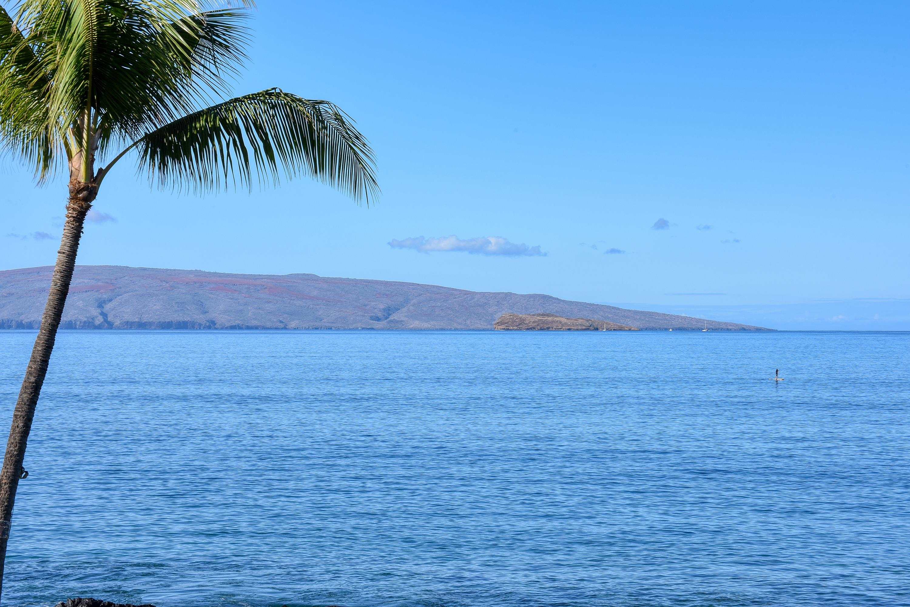 4850 Makena Alanui Rd Property Photo 40