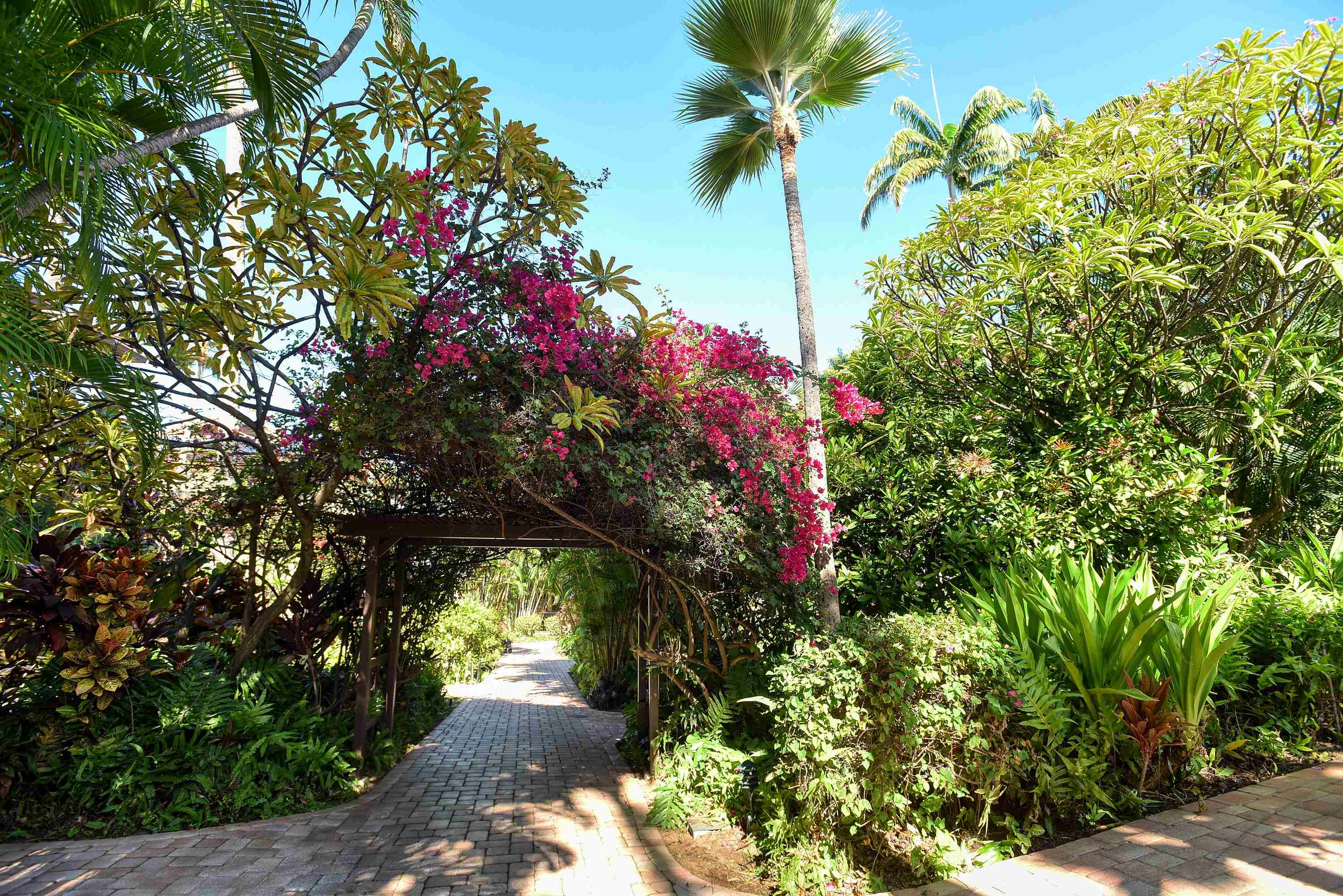 4850 Makena Alanui Rd Property Photo 47