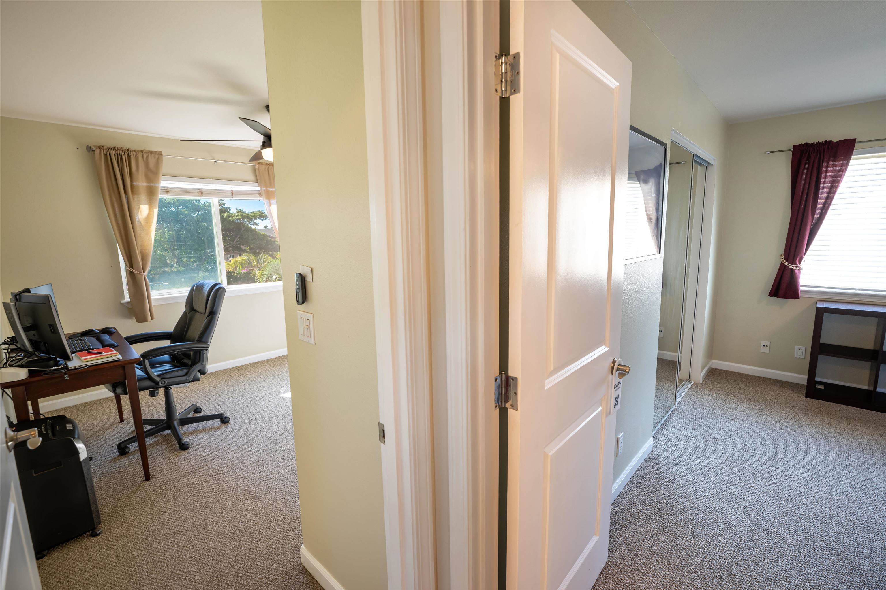 52 Waiapo St Property Photo 23