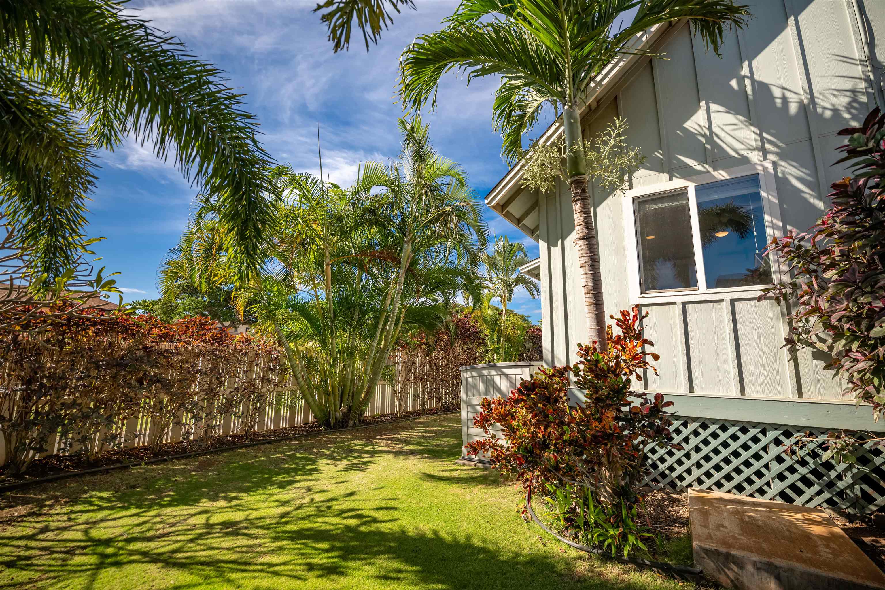 52 Waiapo St Property Photo 33