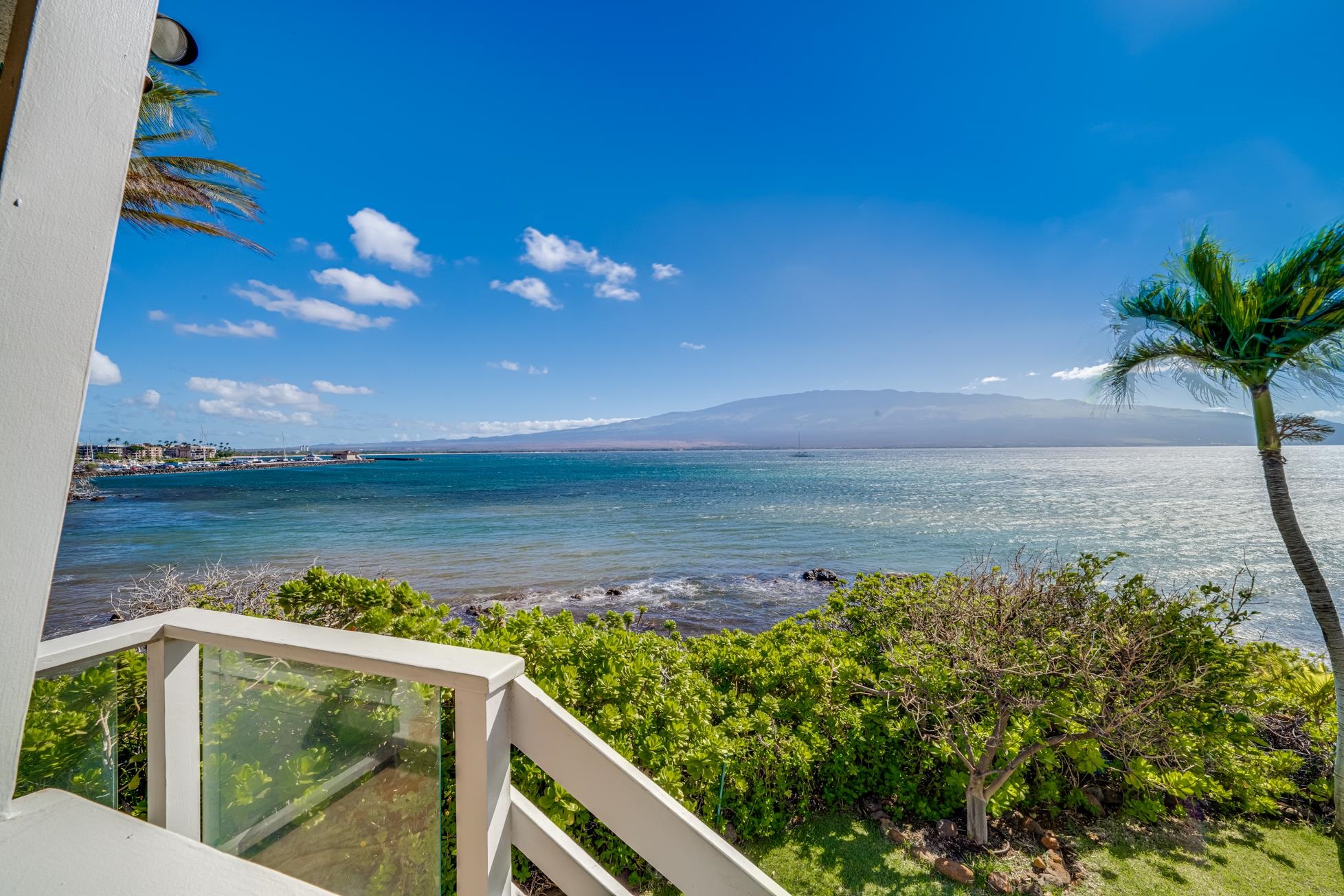 3911 Maalaea Bay Pl Property Photo 40
