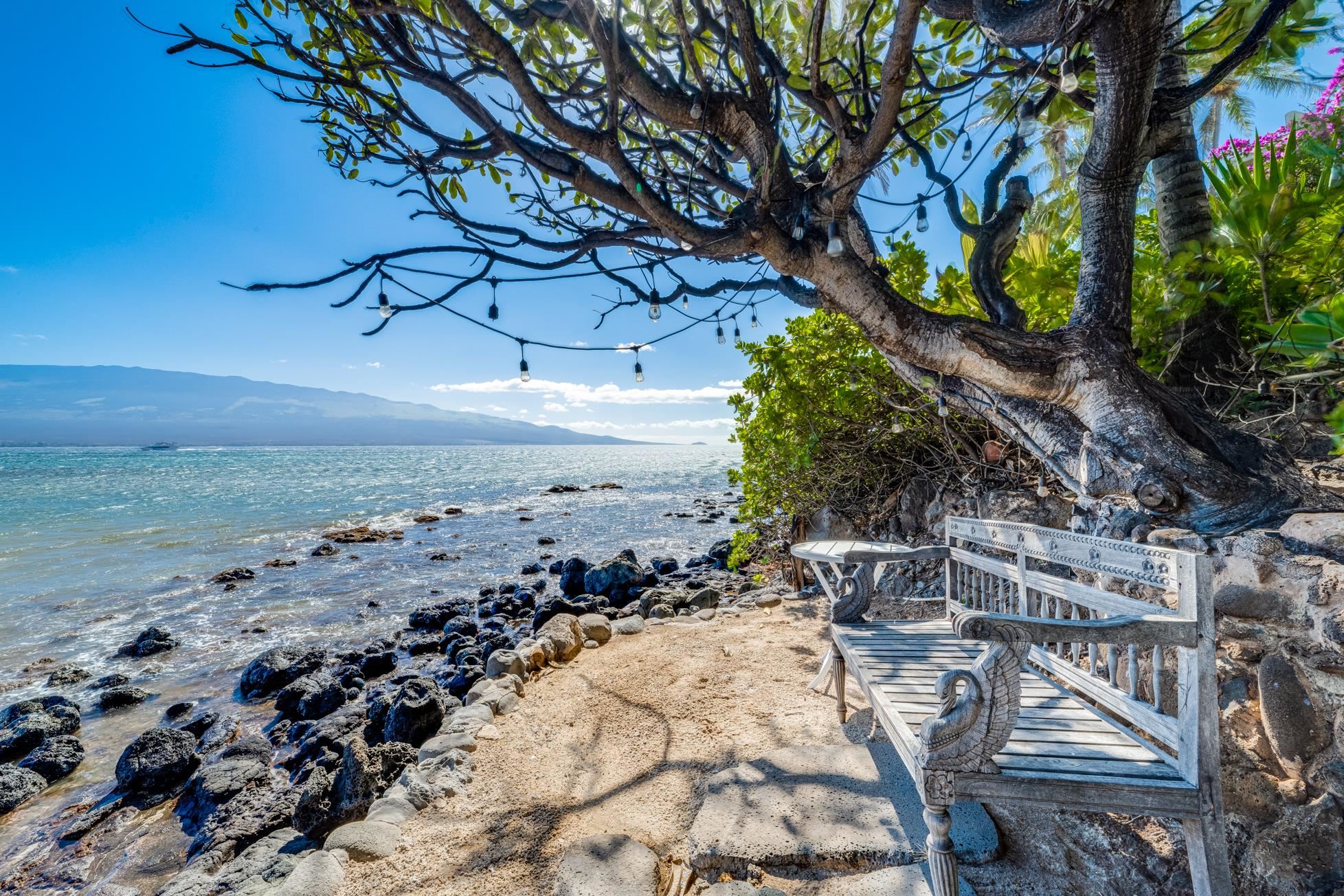 3911 Maalaea Bay Pl Property Photo 44