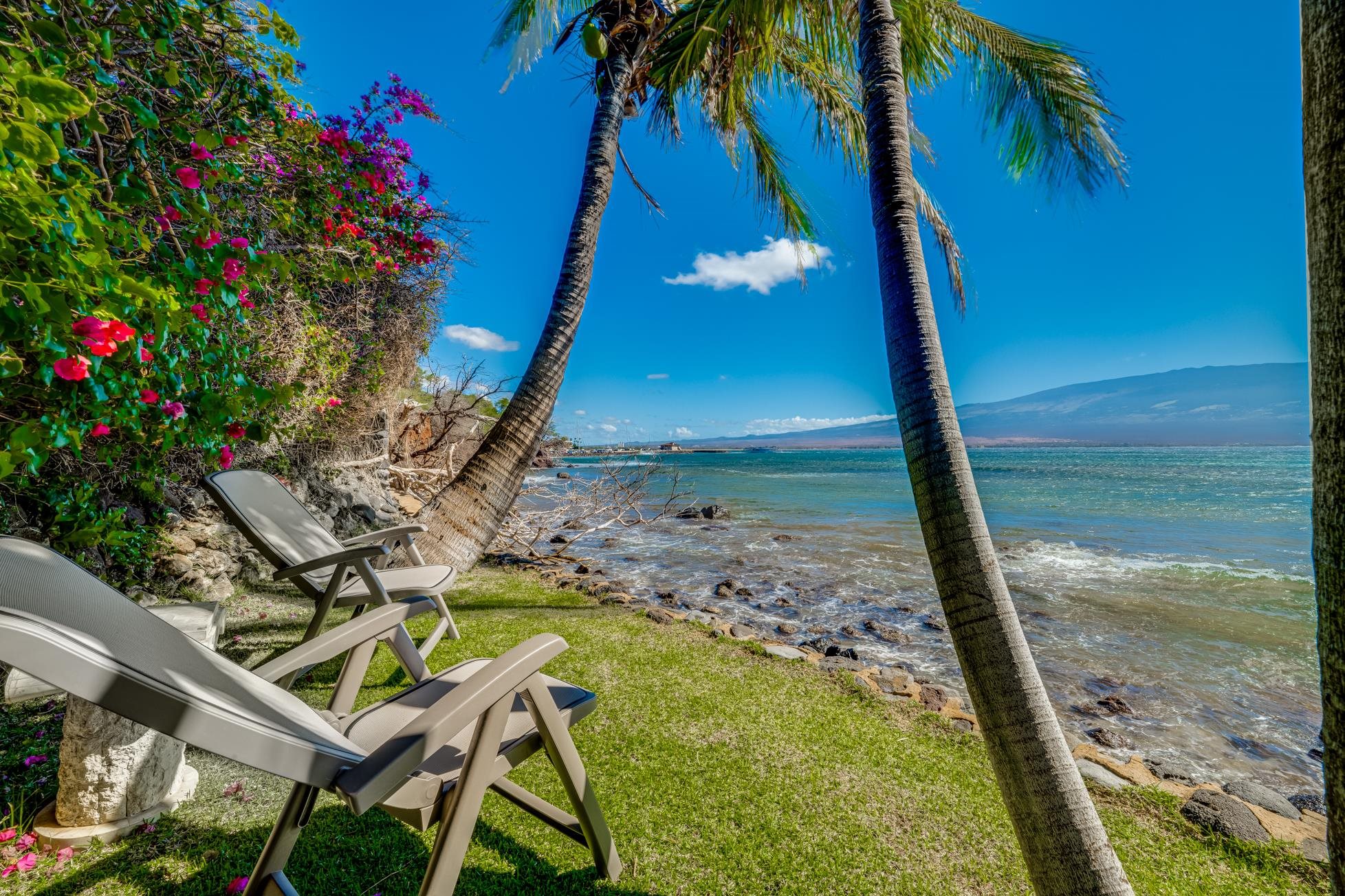 3911 Maalaea Bay Pl Property Photo 45
