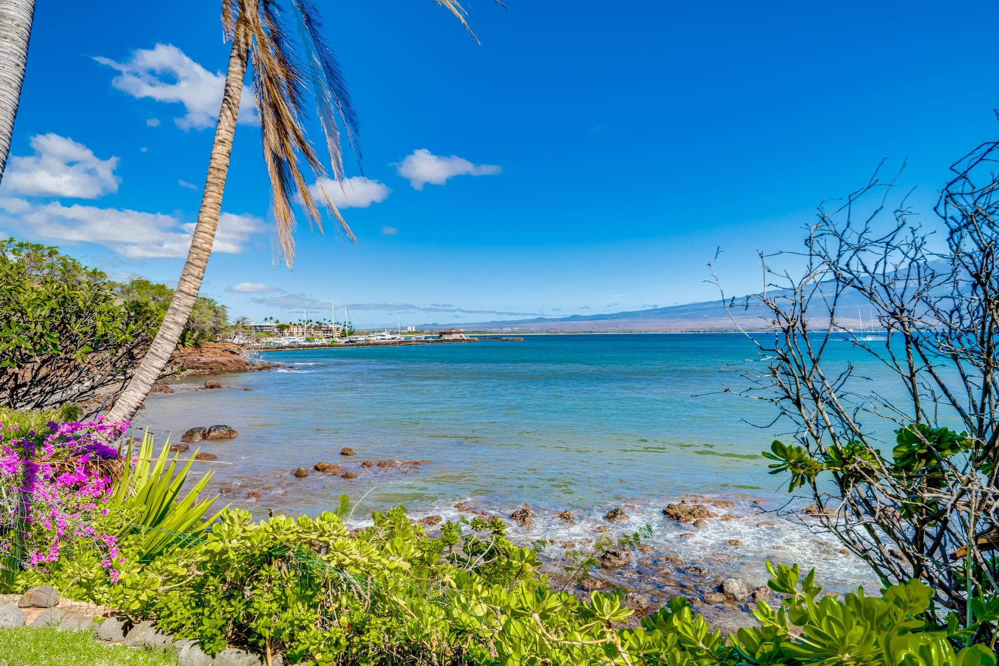 3911 Maalaea Bay Pl Property Photo 46