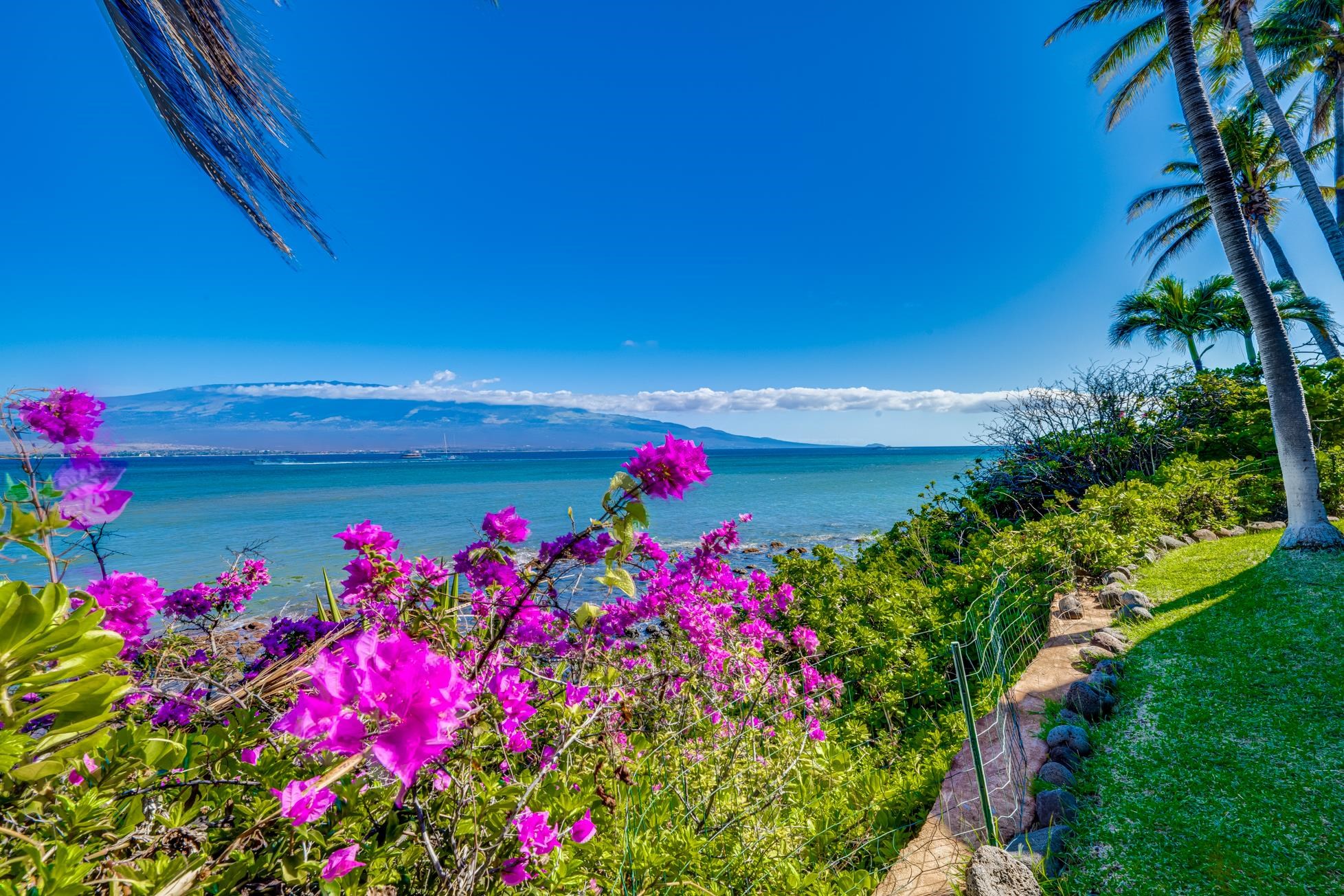 3911 Maalaea Bay Pl Property Photo 47