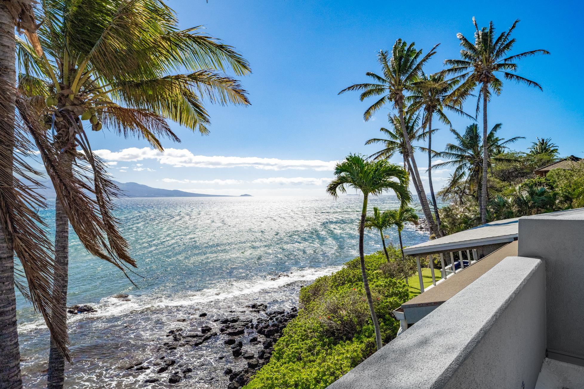 3911 Maalaea Bay Pl Property Photo 49
