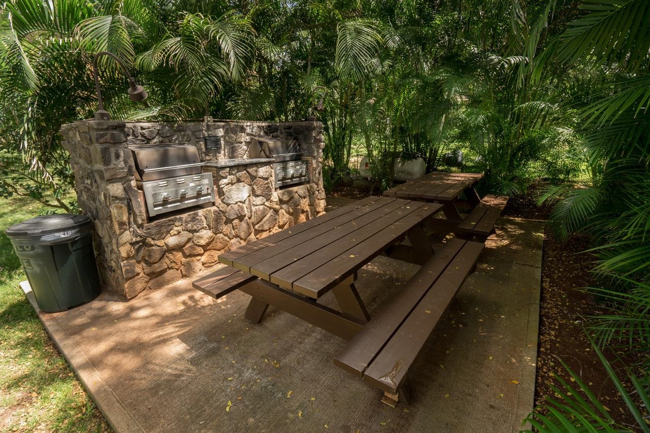 100 Lio Pl Property Photo 38