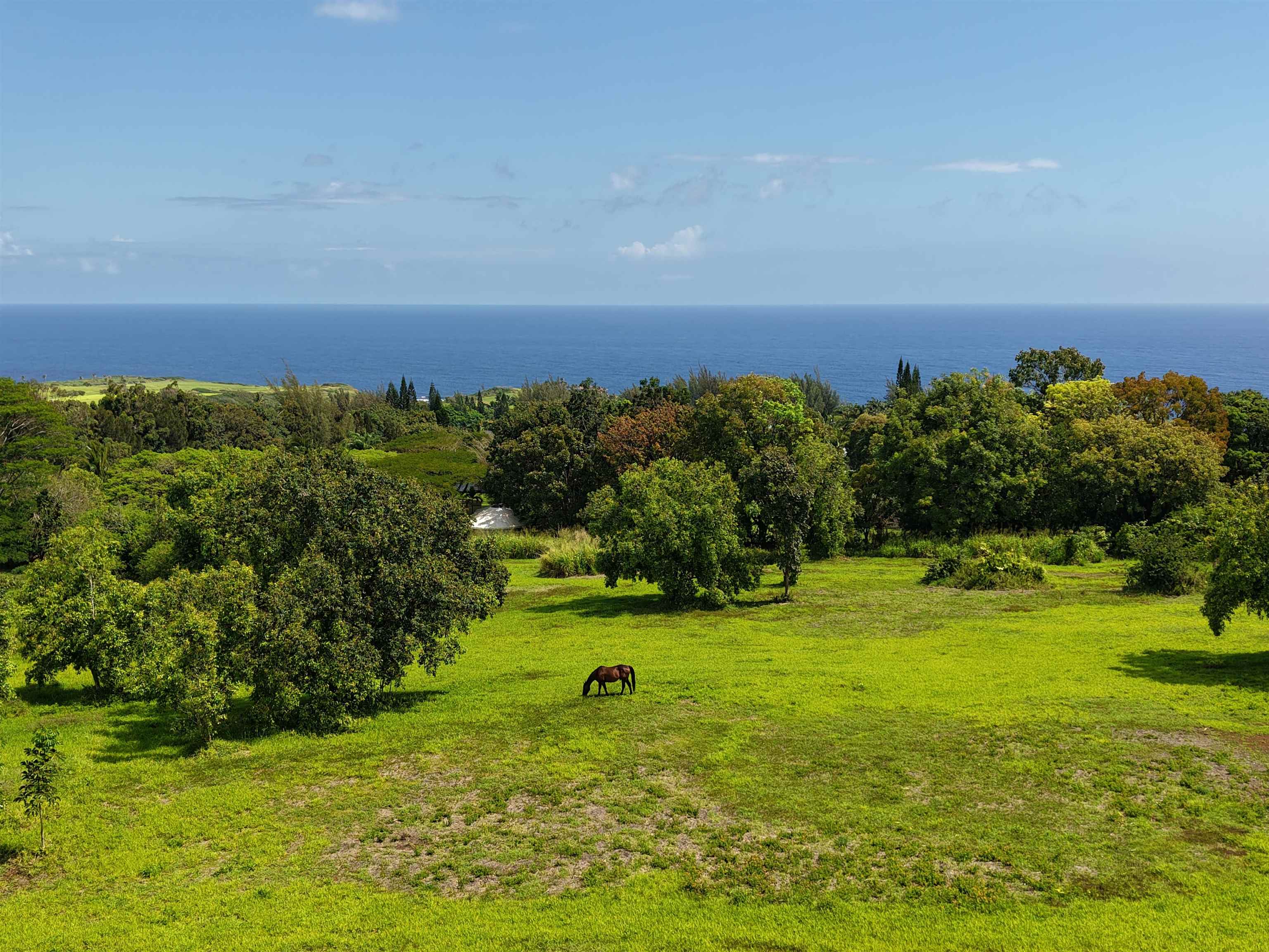 155 Manawai Pl Property Photo 2