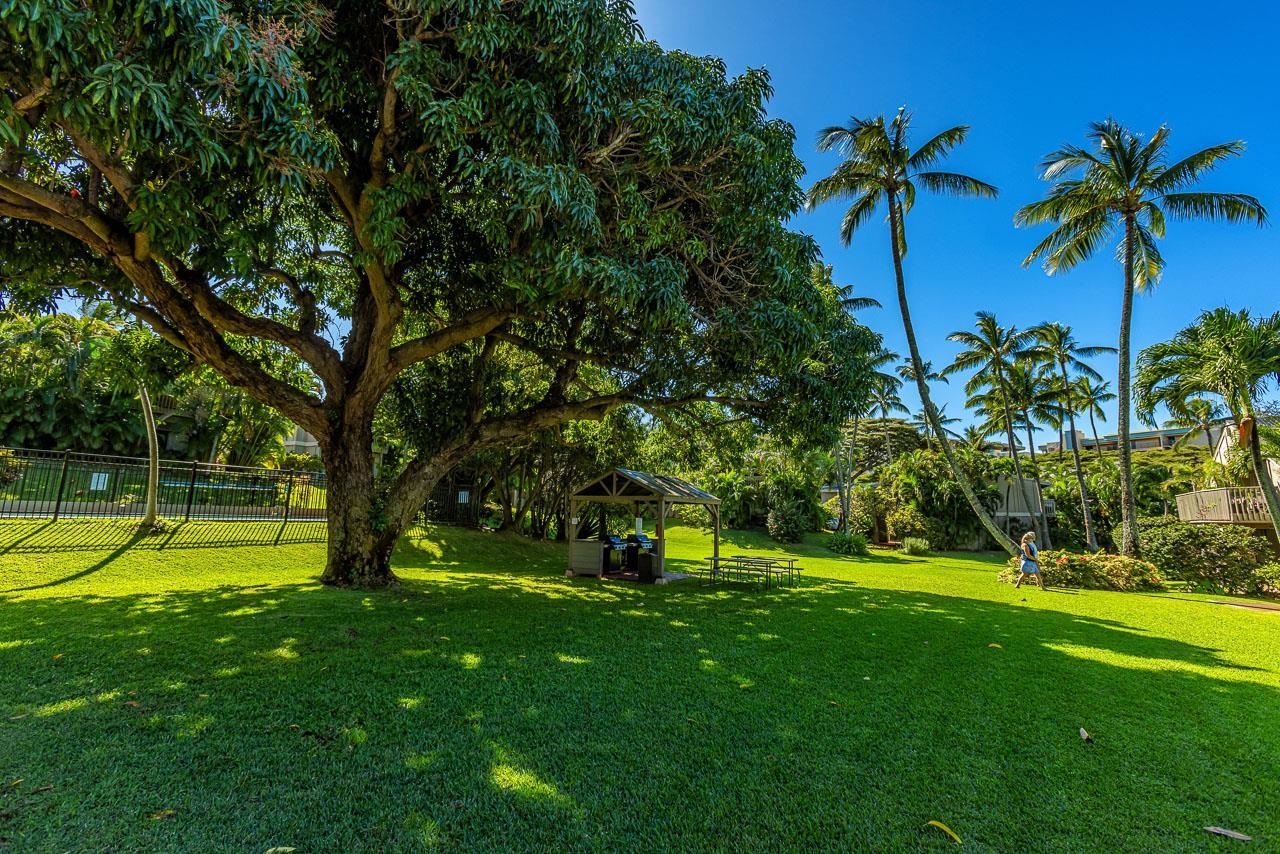 4435 Lower Honoapiilani Rd Property Photo 30