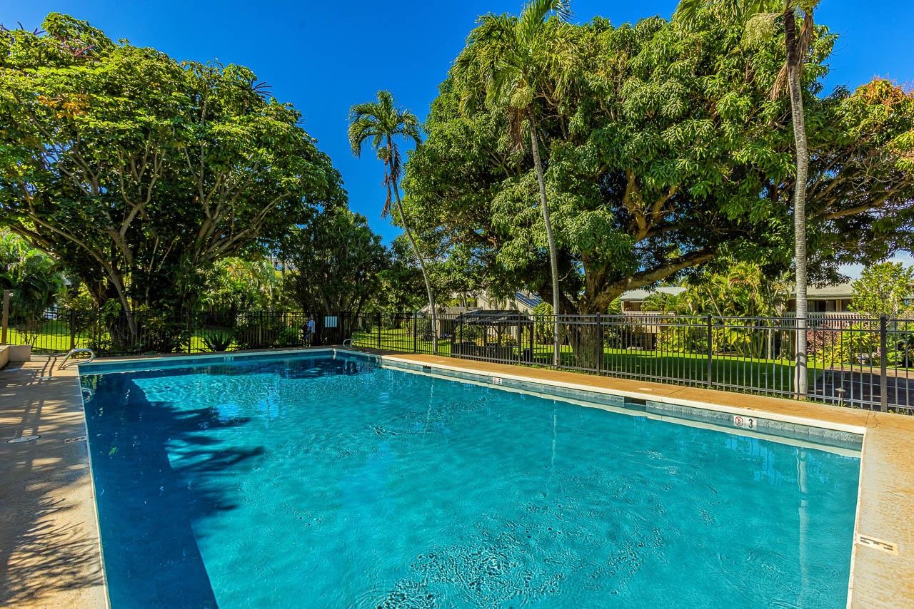 4435 Lower Honoapiilani Rd Property Photo 33