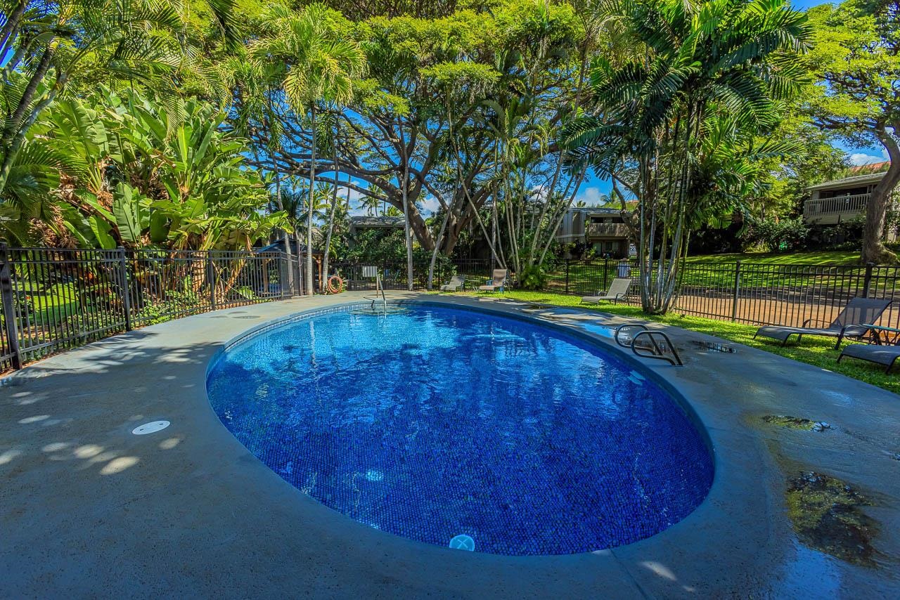 4435 Lower Honoapiilani Rd Property Photo 38
