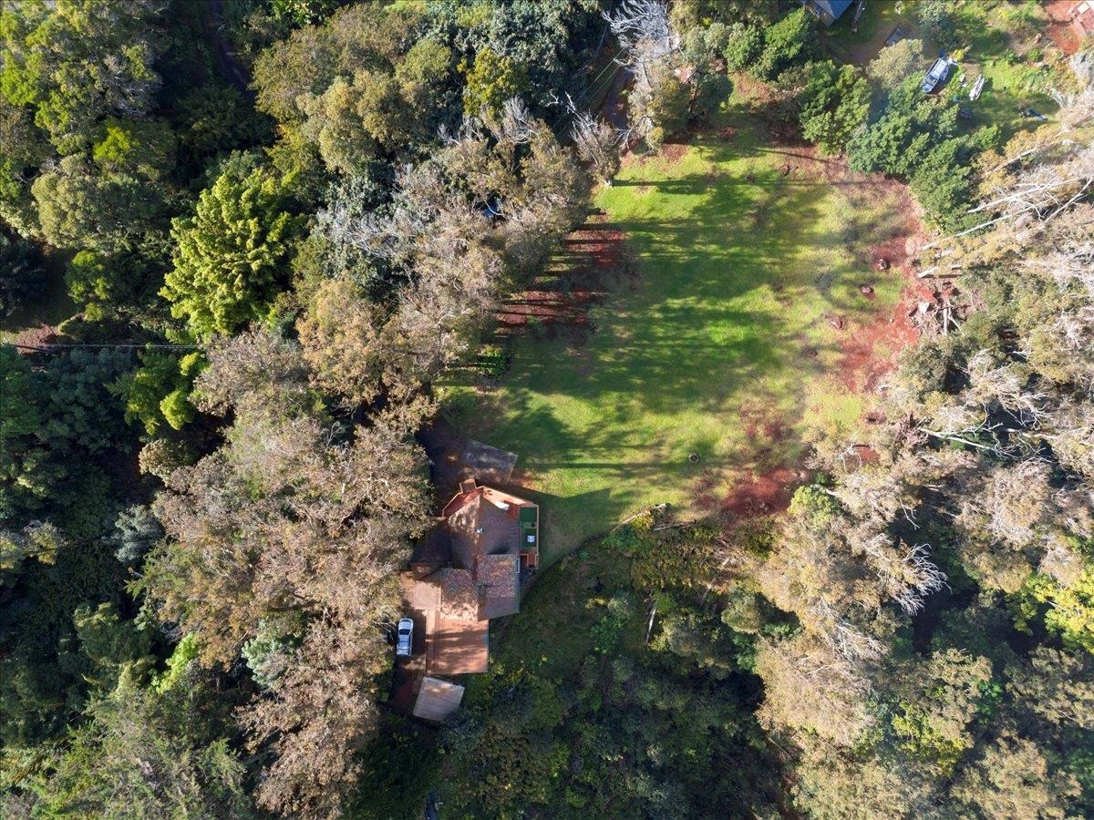 1733 Piiholo Rd Property Photo 8