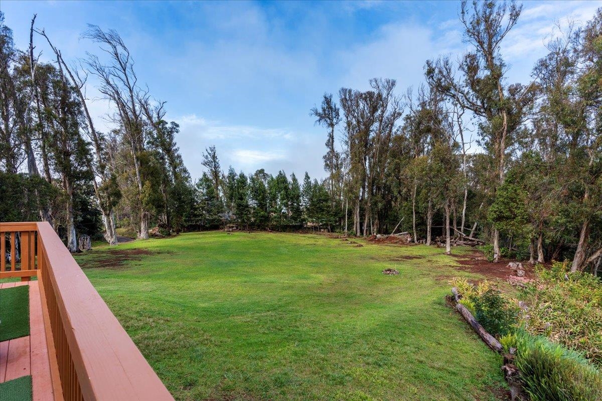 1733 Piiholo Rd Property Photo 41