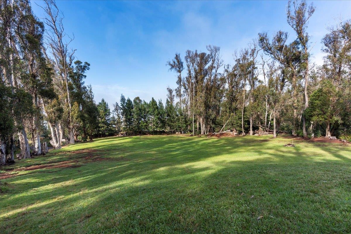 1733 Piiholo Rd Property Photo 42