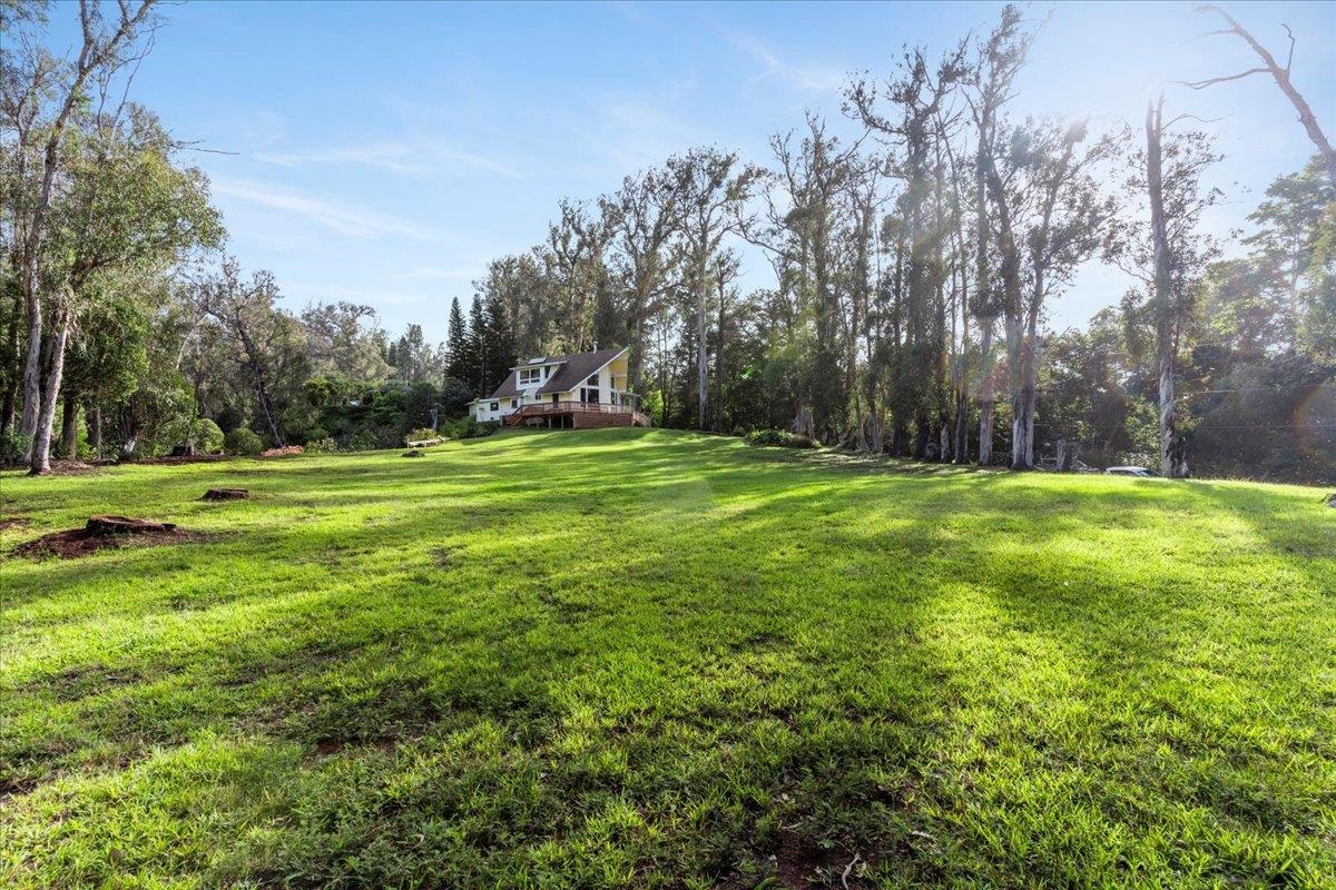 1733 Piiholo Rd Property Photo 44
