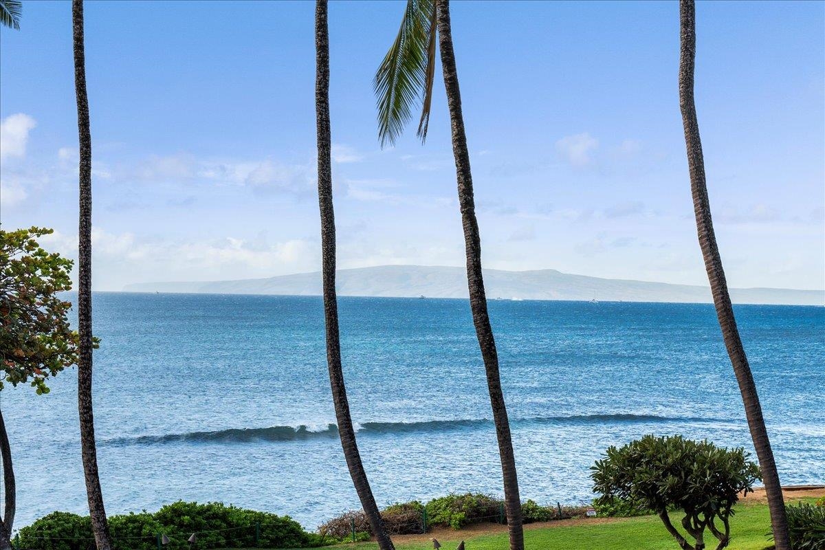 250 Hauoli St Property Photo 2