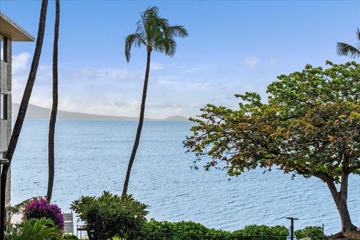 250 Hauoli St Property Photo 34