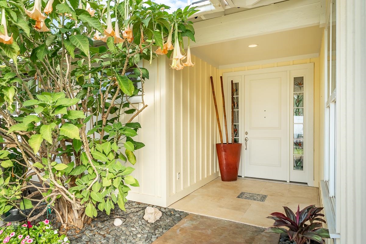 203 Kuli Puu St Property Photo 6