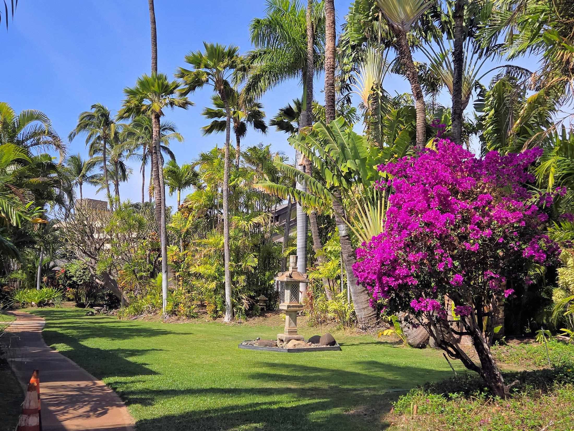 777 S Kihei Rd Property Photo 23
