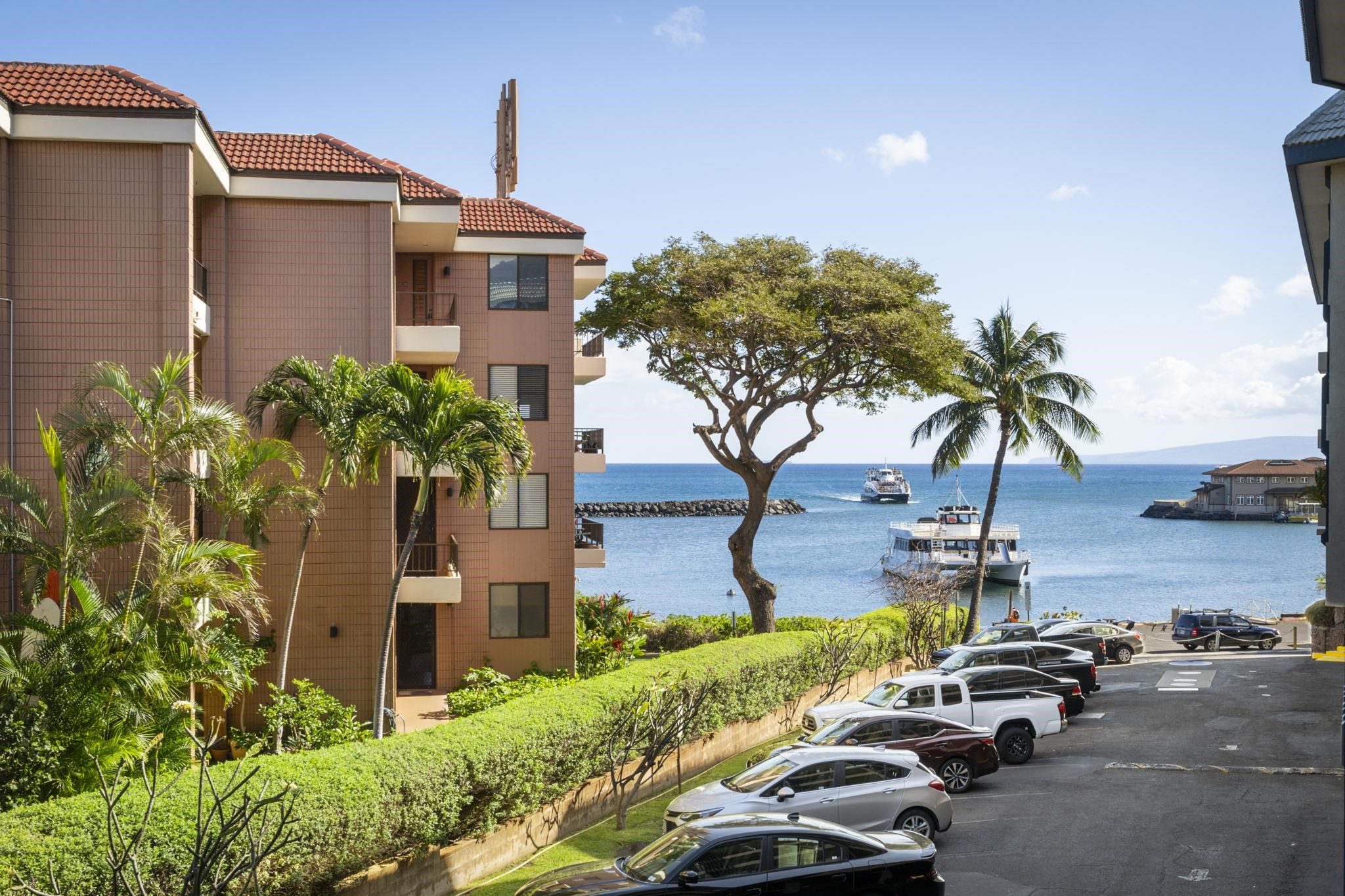 20 Hauoli St Property Photo 1