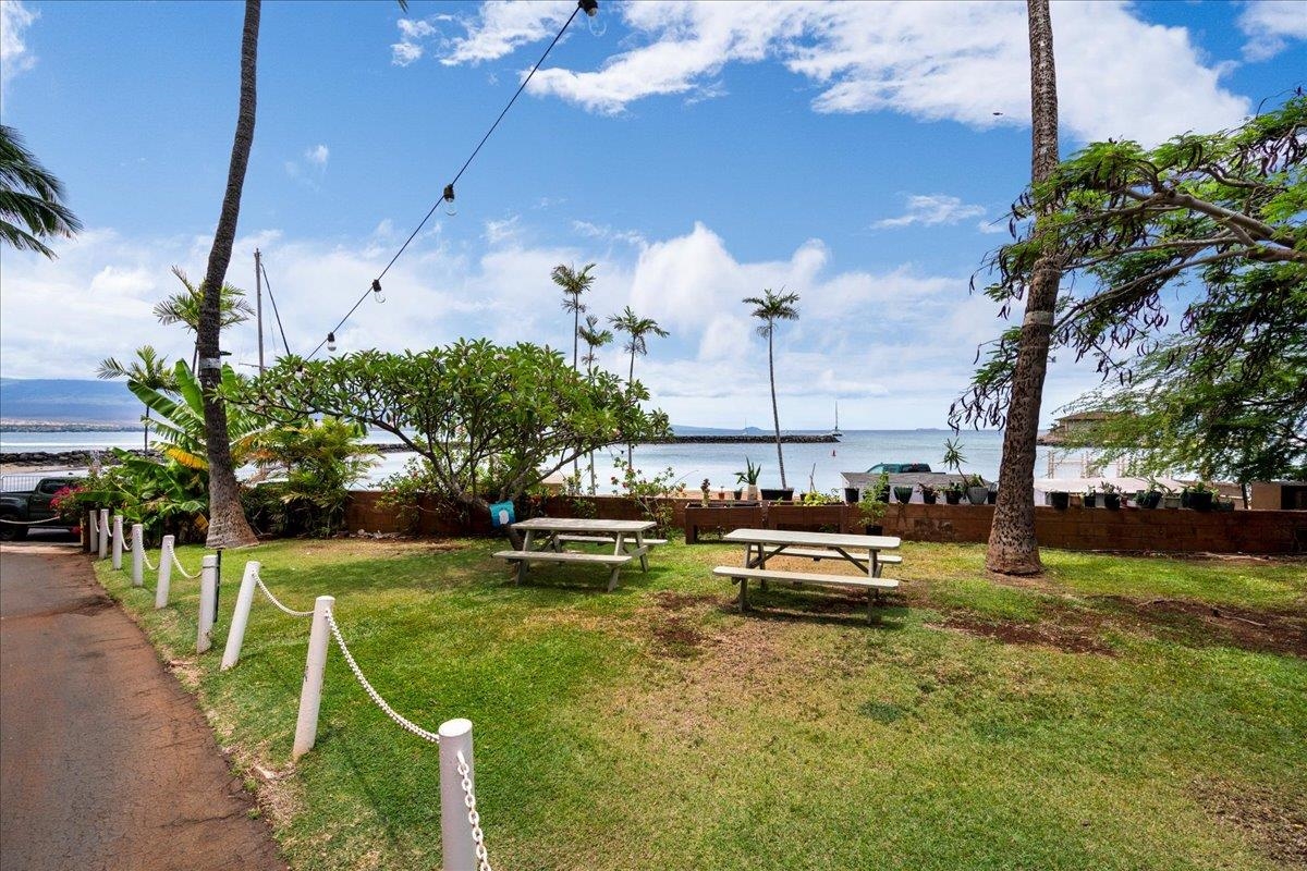 20 Hauoli St Property Photo 27