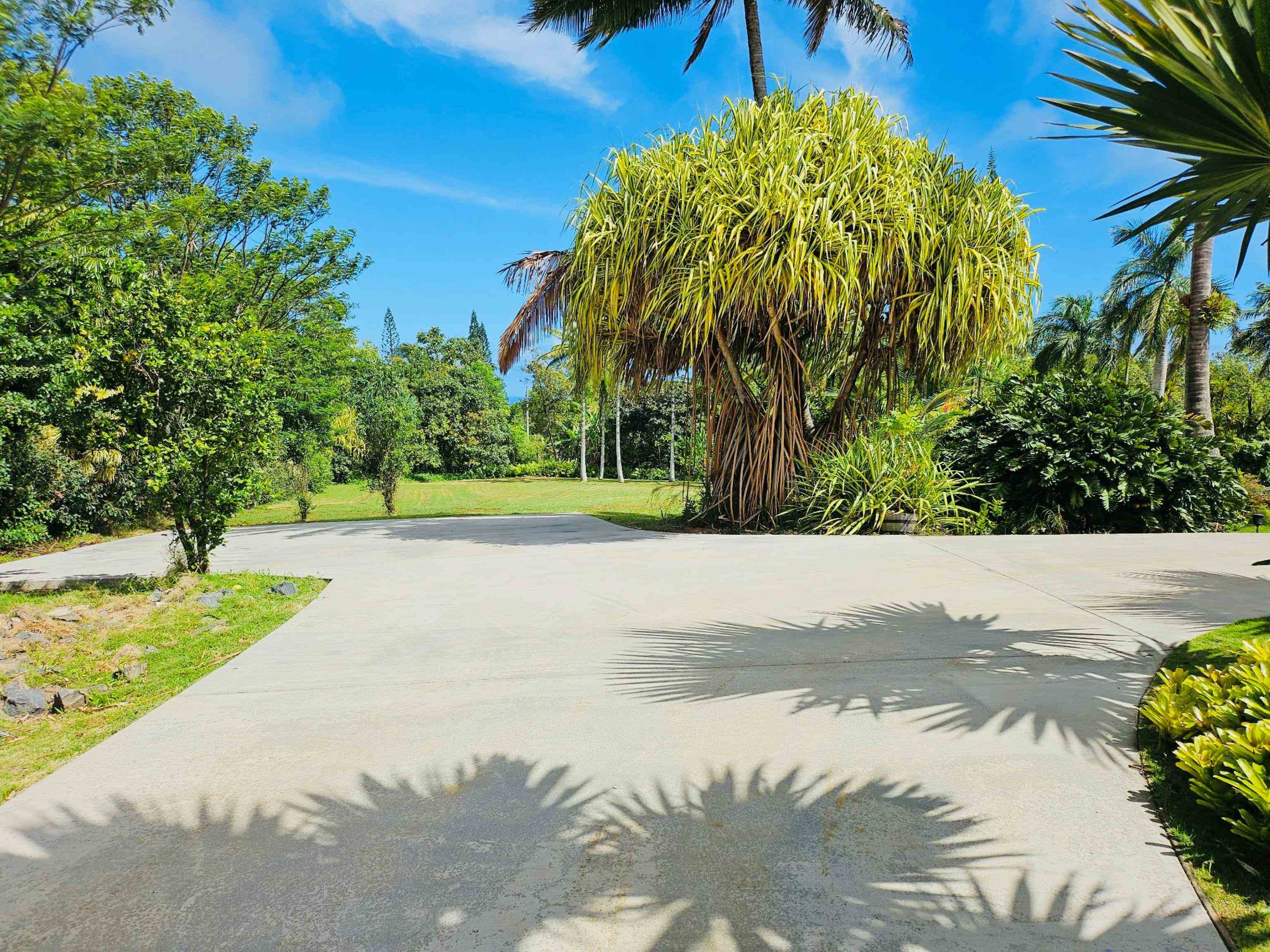 4080 Aliikoa Pl Property Photo 11