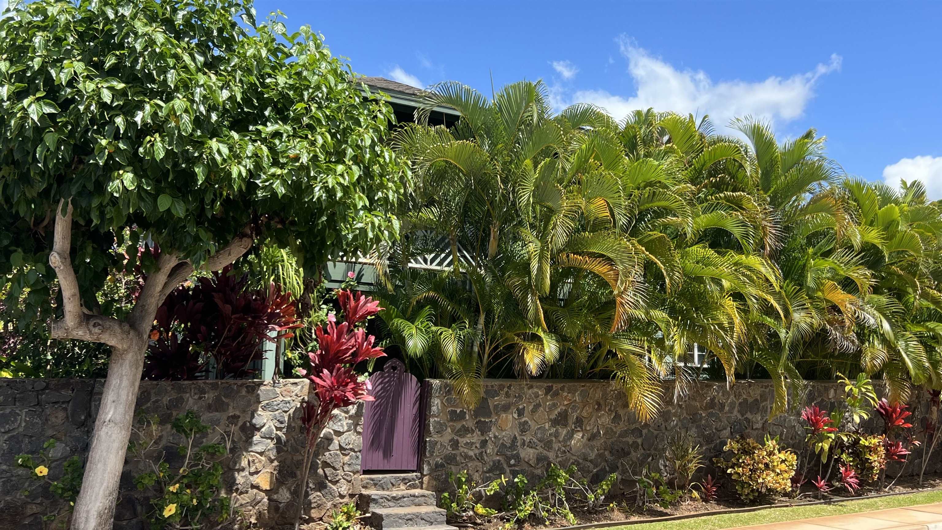 206 Kuli Puu St Property Photo 35