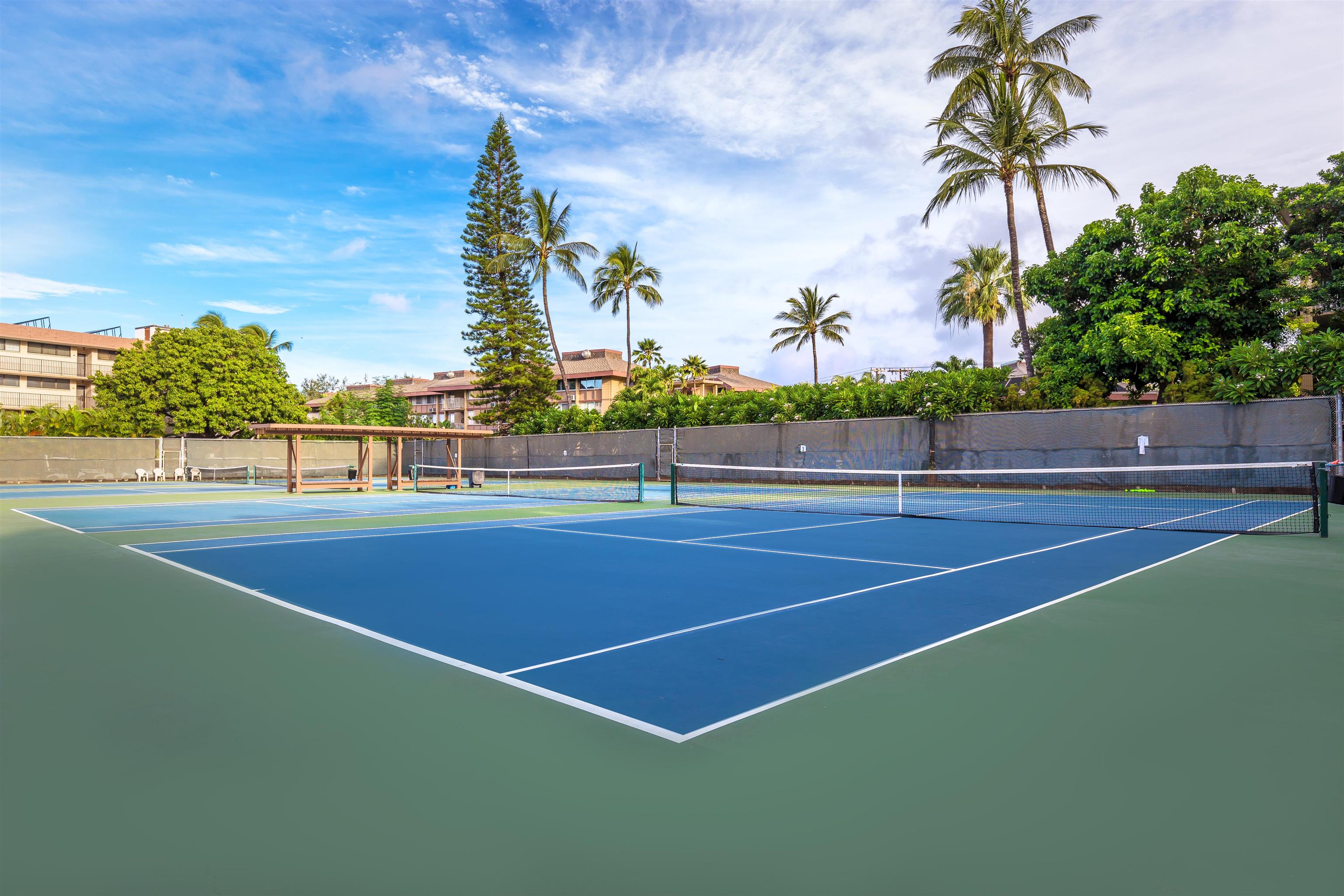 2695 S Kihei Rd Property Photo 38