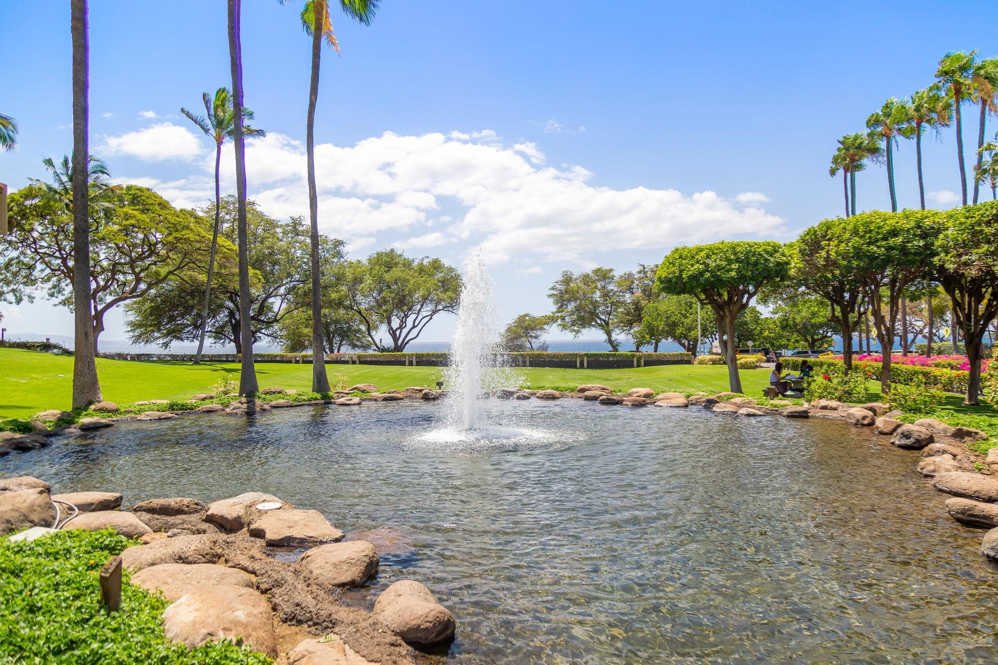 2695 S Kihei Rd Property Photo 41