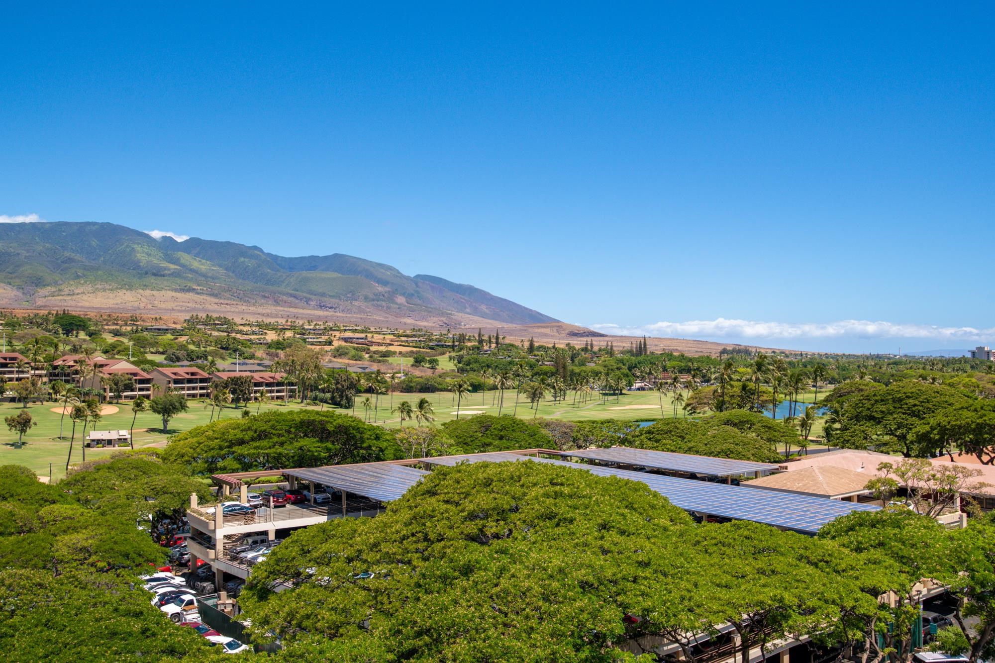2481 Kaanapali Pkwy Property Photo 2