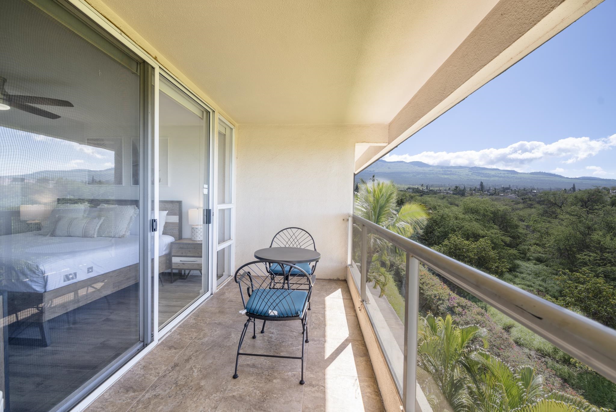 2575 S Kihei Rd Property Photo 22
